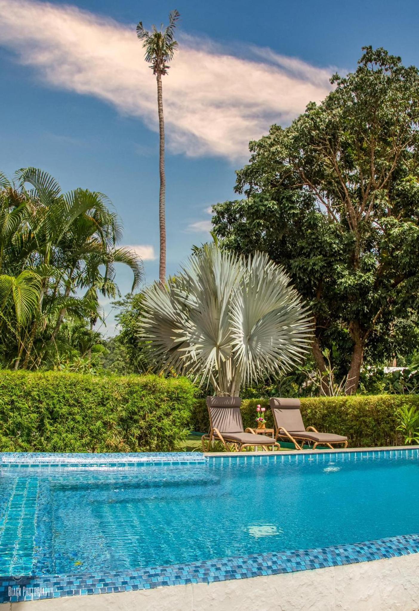 Photo 110