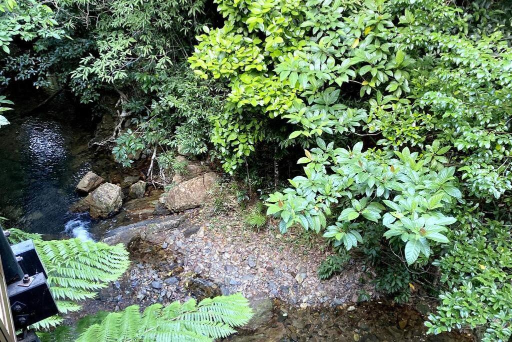 BUTTERFLY BEND - 3 Bedroom Daintree Beach House