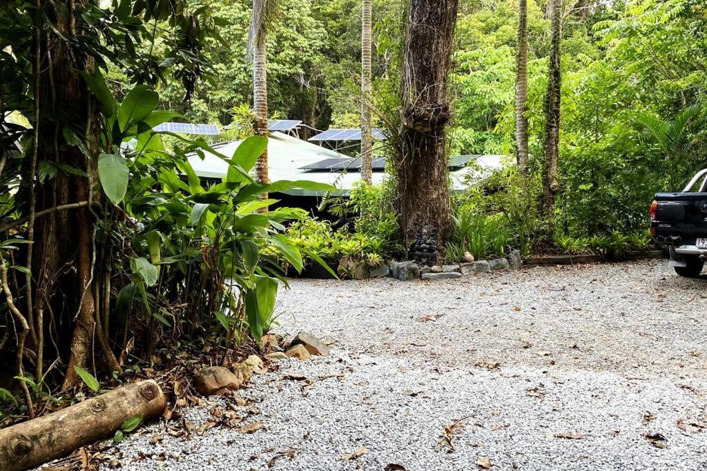 BUTTERFLY BEND - 3 Bedroom Daintree Beach House