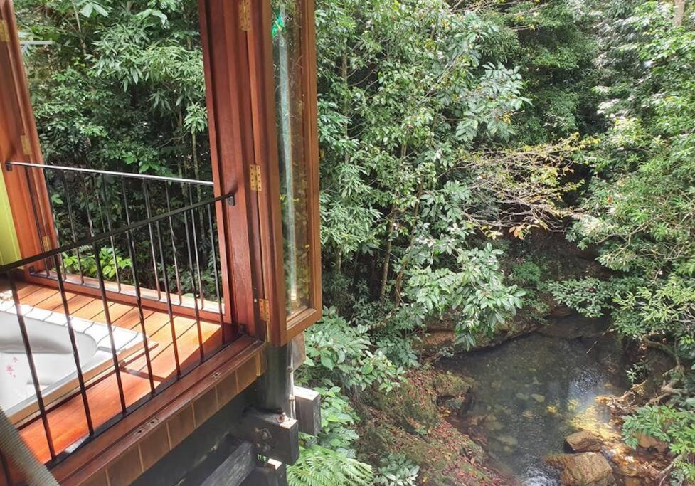 BUTTERFLY BEND - 3 Bedroom Daintree Beach House