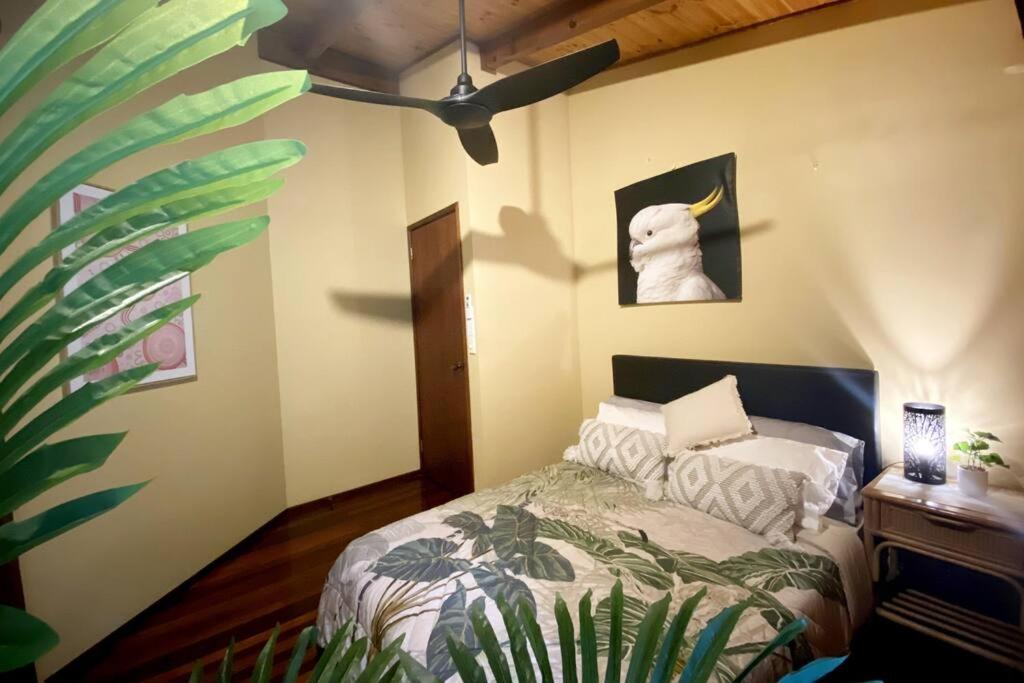 BUTTERFLY BEND - 3 Bedroom Daintree Beach House