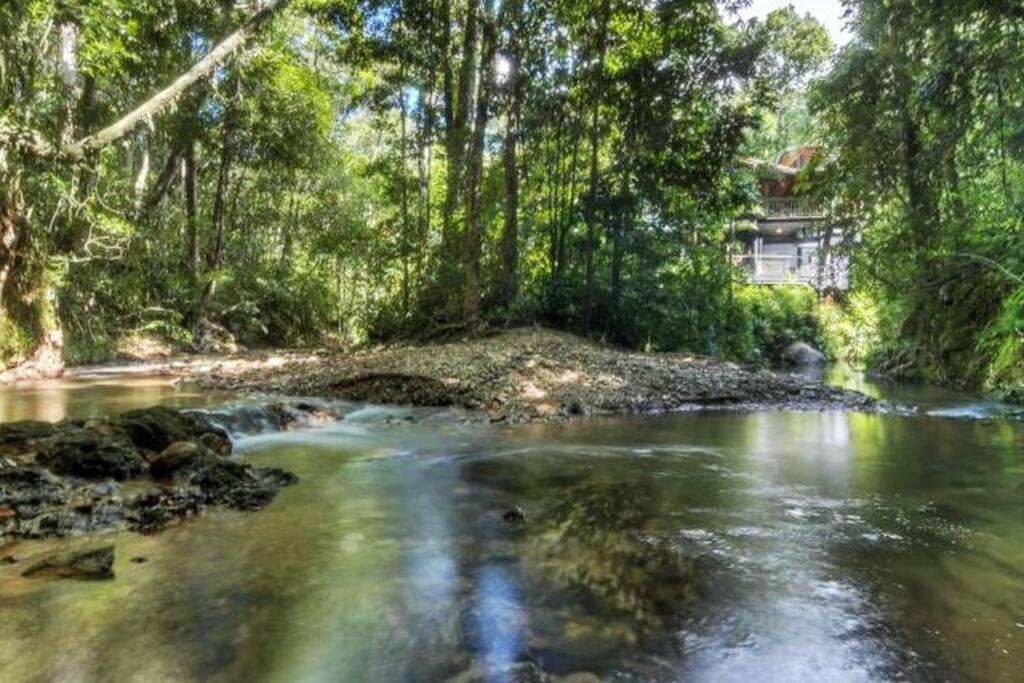 BUTTERFLY BEND - 3 Bedroom Daintree Beach House