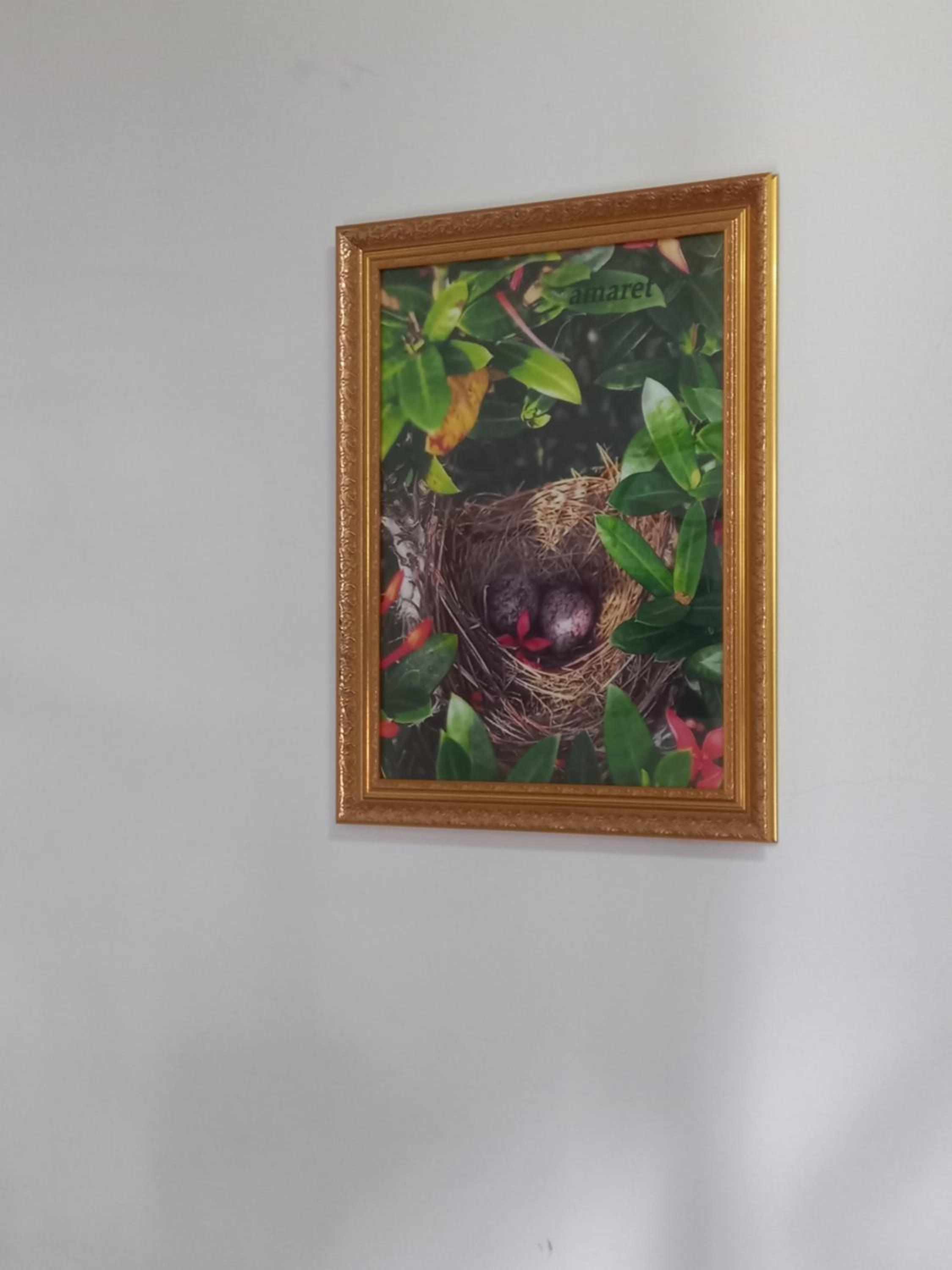 Amaretto Hostel