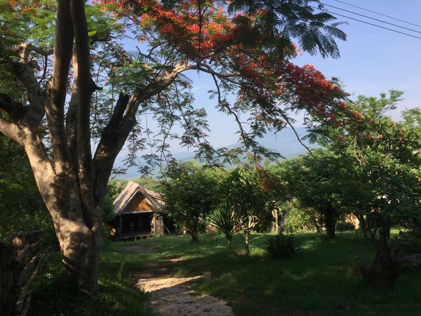 Cozycomo Nam Nao