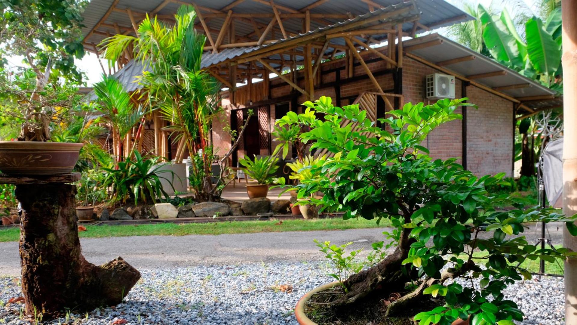 Bamboo Cottage Langkawi photo 7