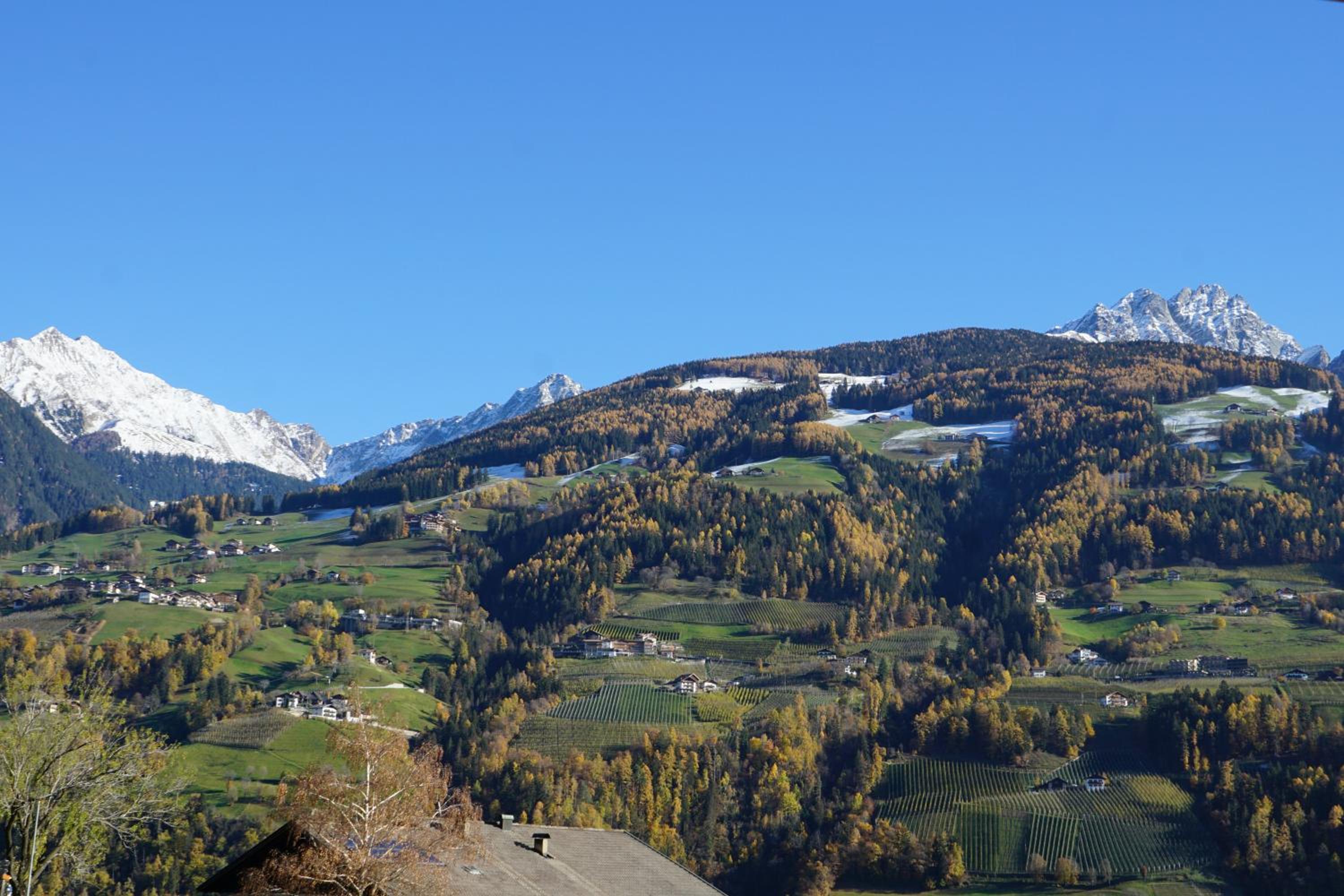 Photo 40