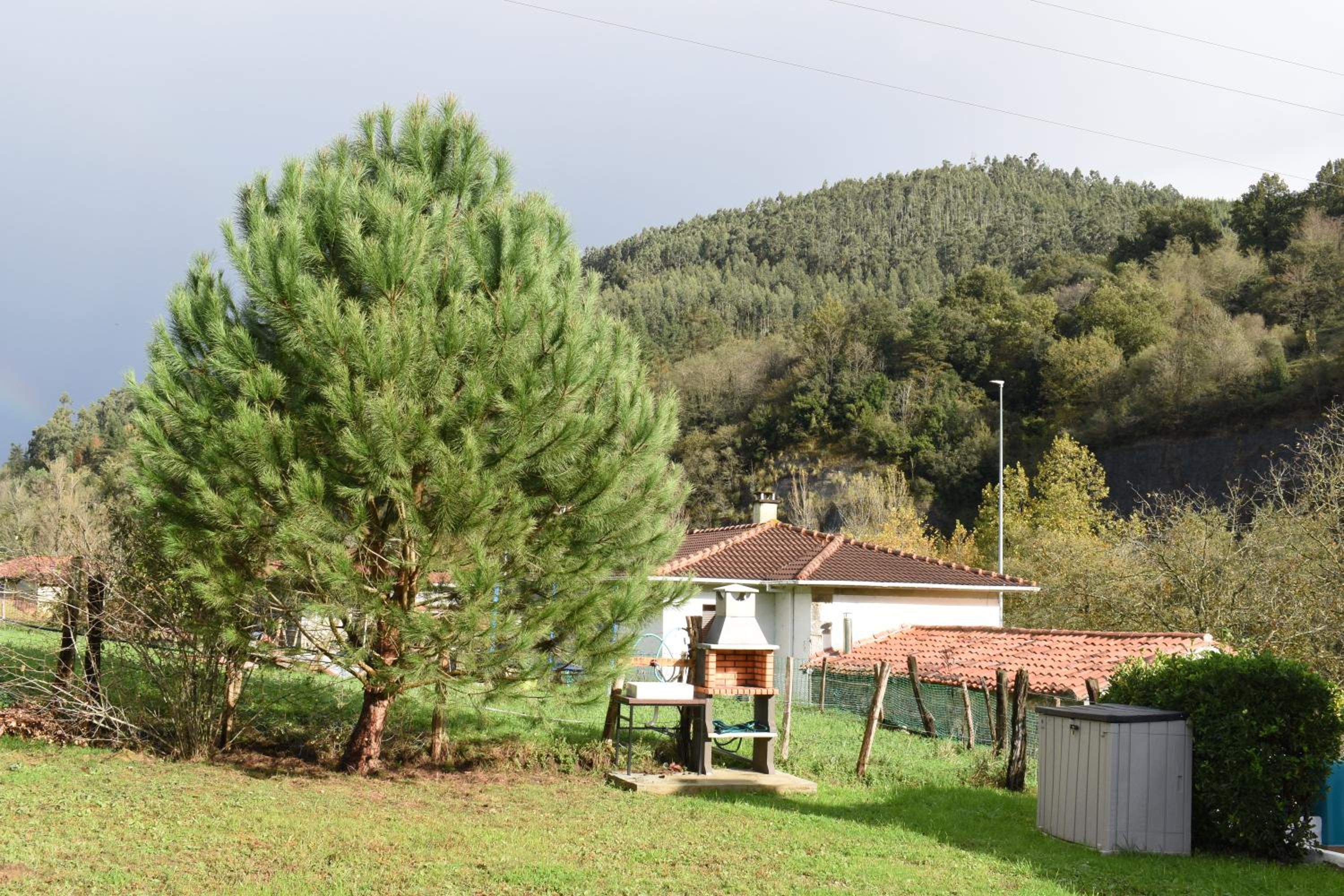 Photo 43