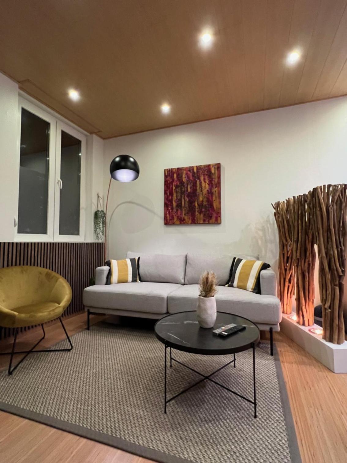 Jadore - Appartements meublés Mulhouse Ville view 4