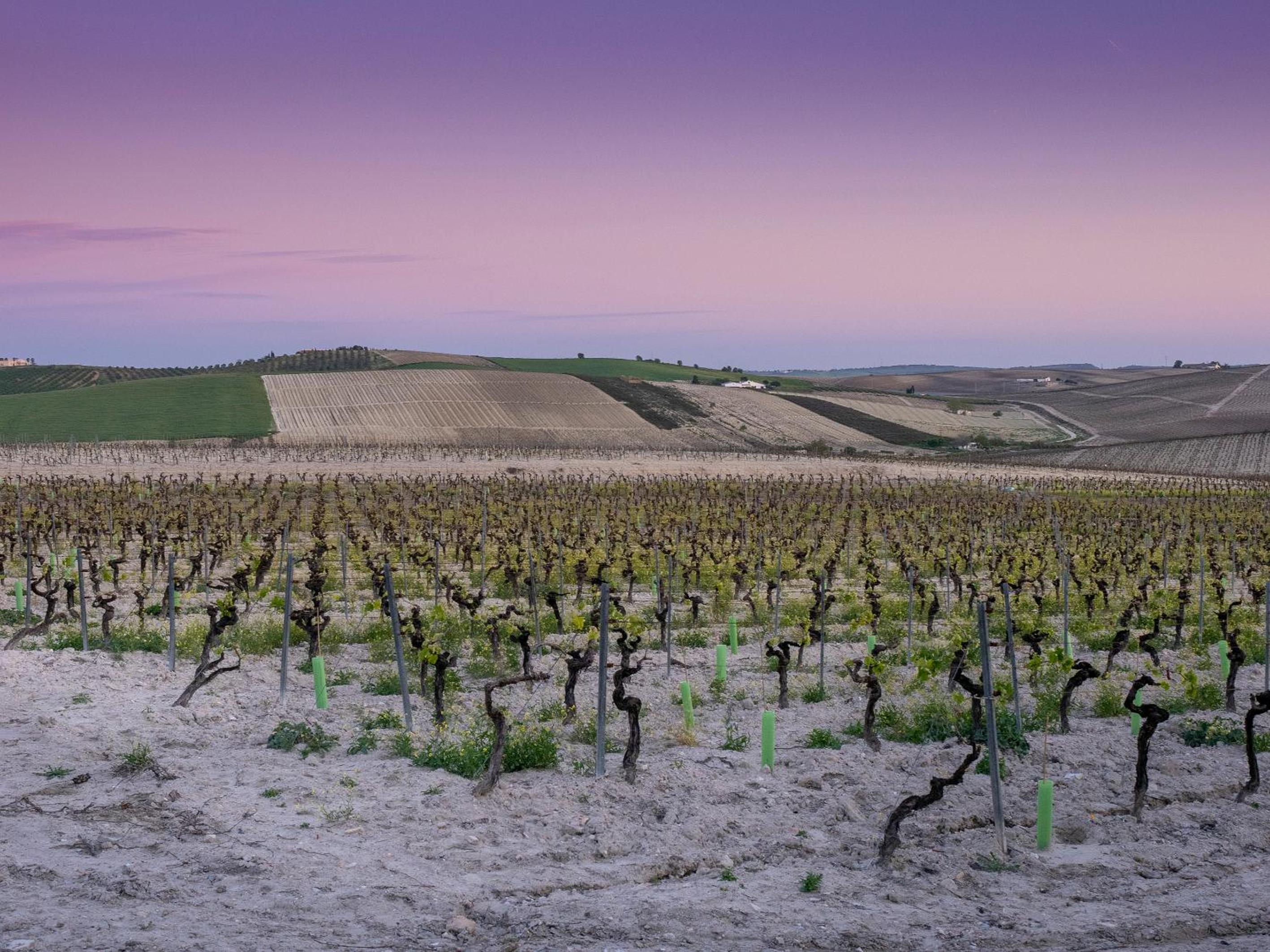 La Ermita FjHomeFj