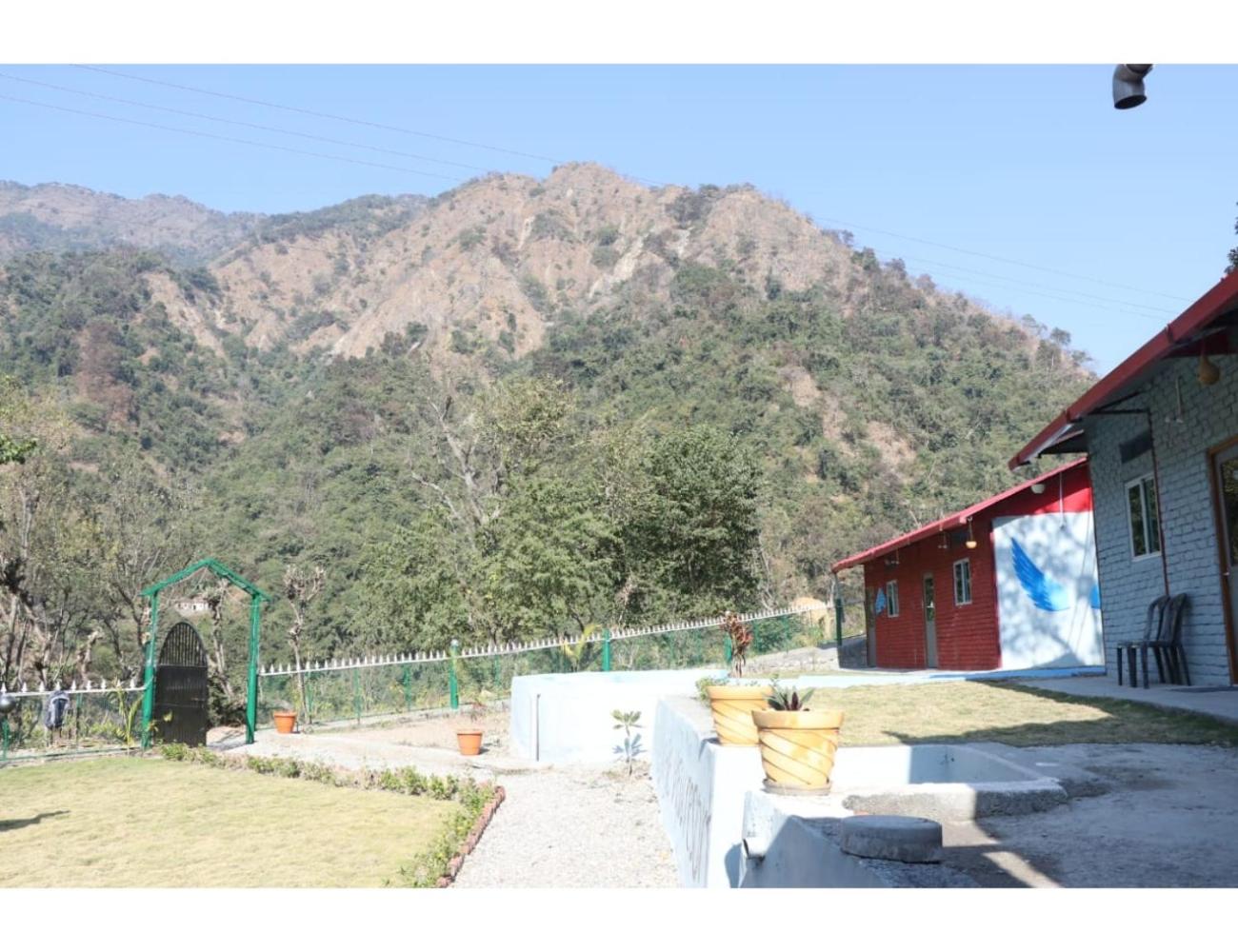 The Jungle View Resort  Restaurant, Bhogpur - Property Image 27