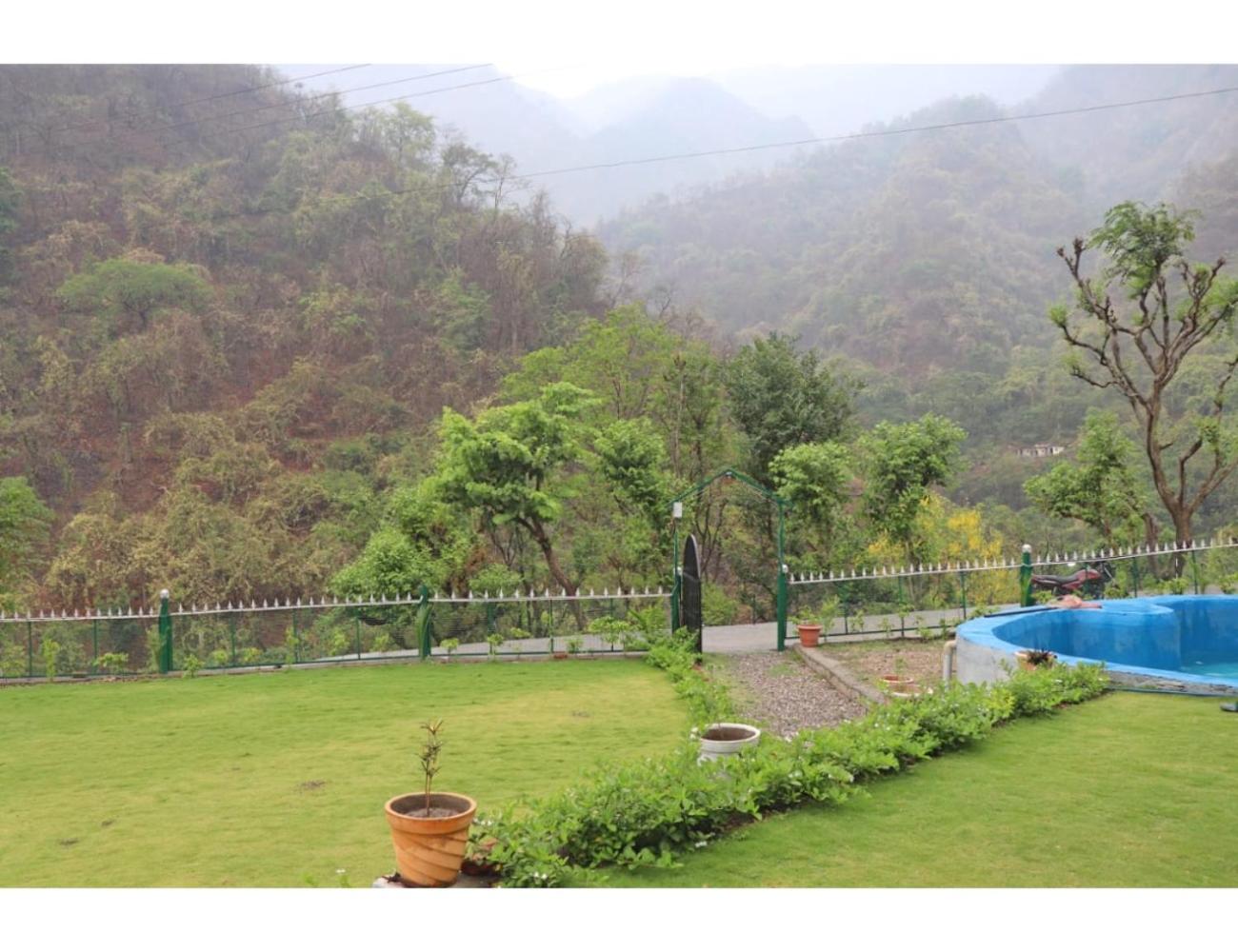 The Jungle View Resort  Restaurant, Bhogpur - Property Image 21
