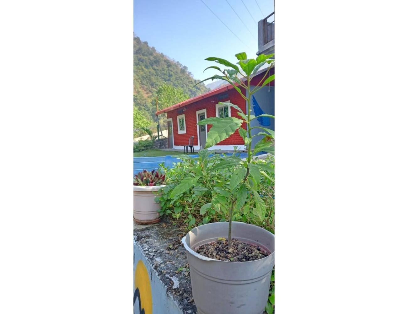 The Jungle View Resort  Restaurant, Bhogpur - Property Image 16