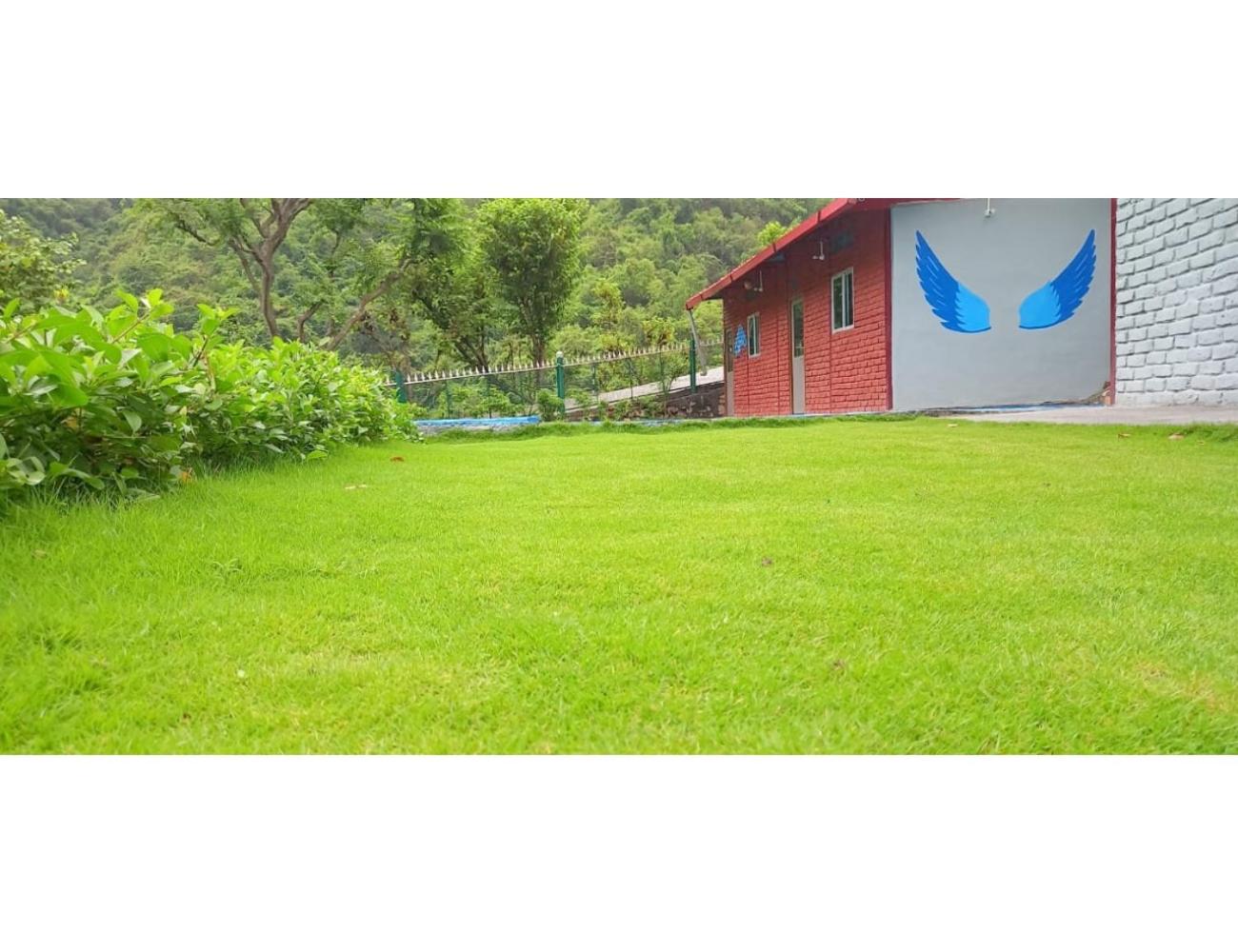 The Jungle View Resort  Restaurant, Bhogpur - Property Image 9