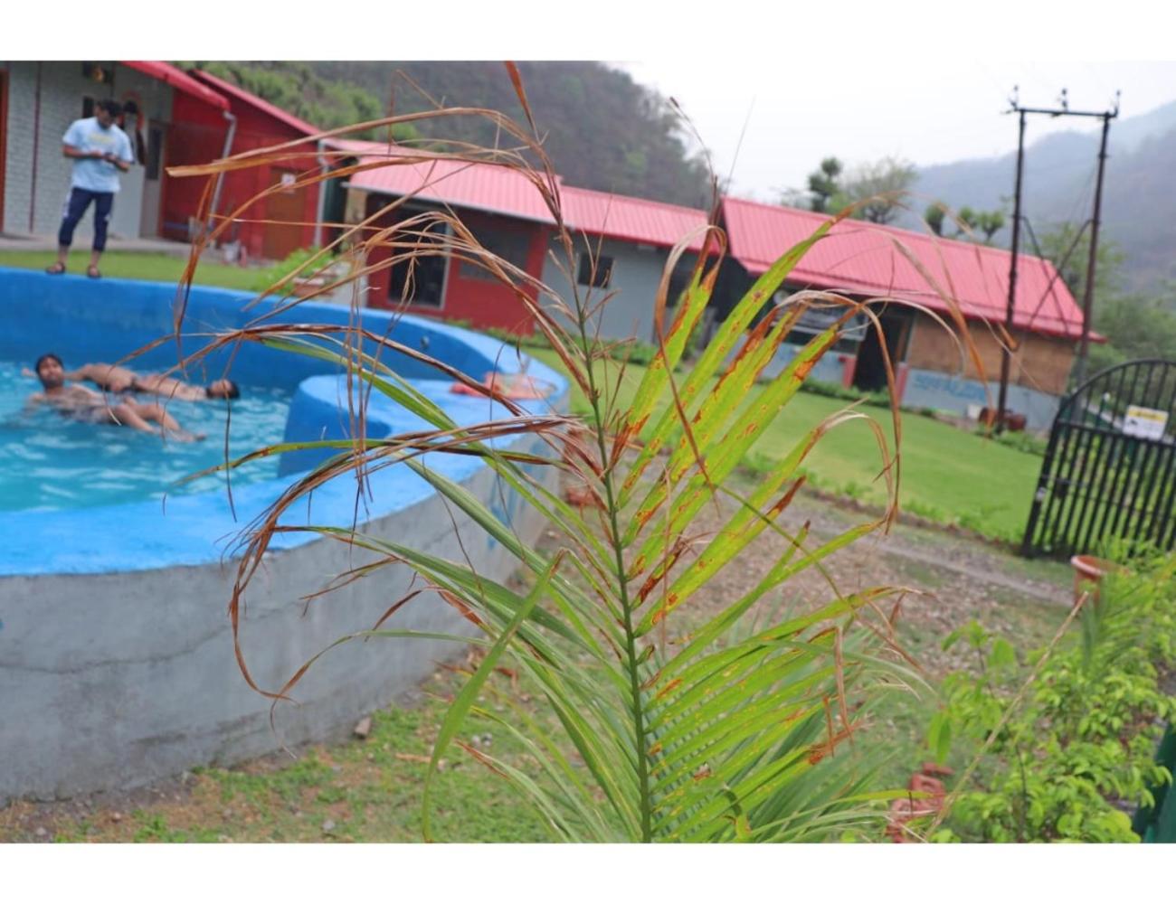 The Jungle View Resort  Restaurant, Bhogpur - Property Image 8