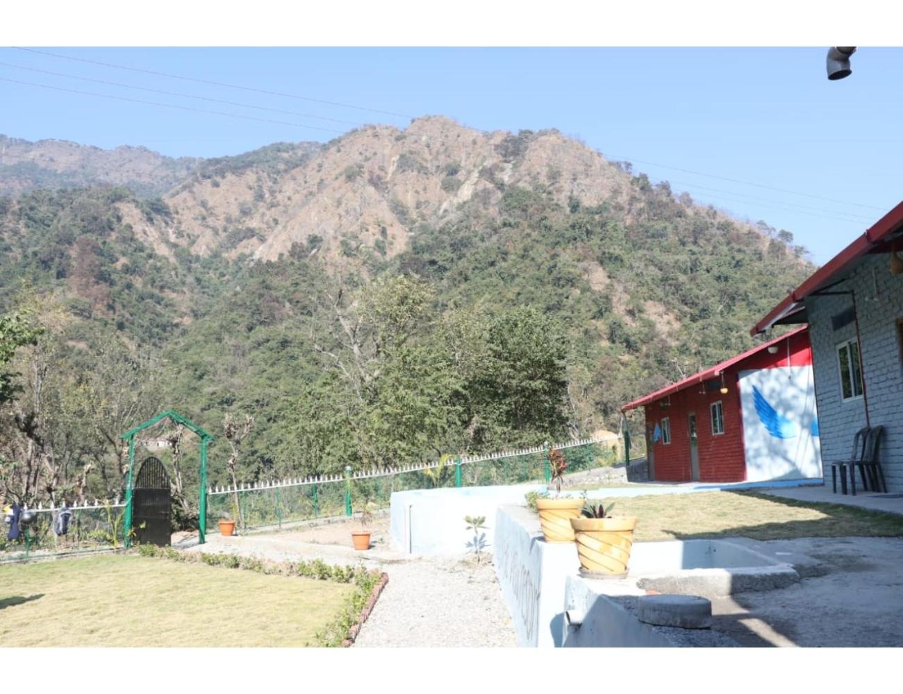 The Jungle View Resort  Restaurant, Bhogpur - Property Image 7