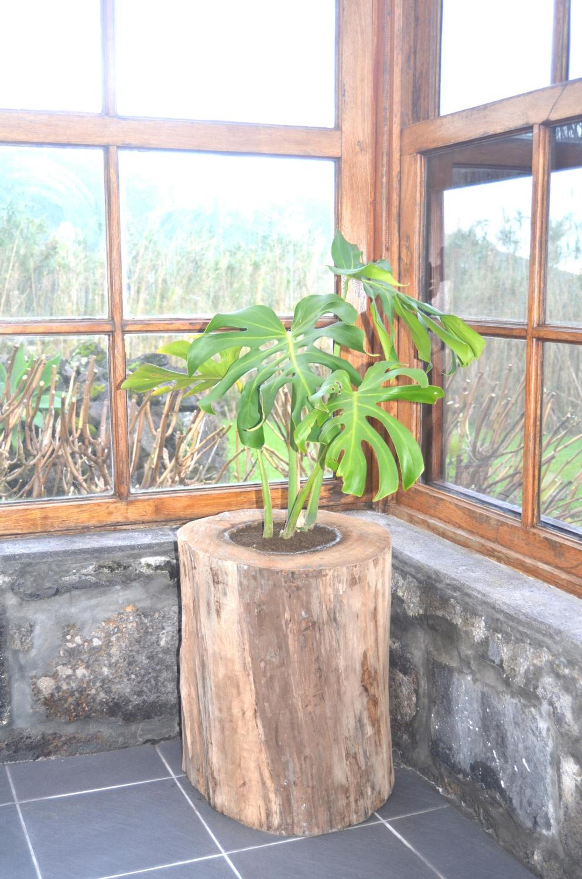 Casa Vista Fantástica