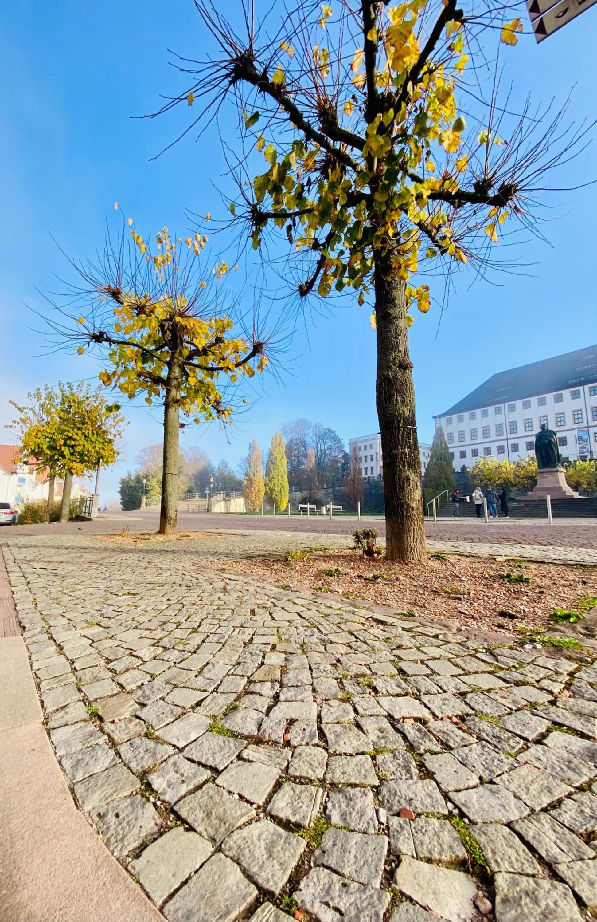 Kuschelige helle Ferienwohnung