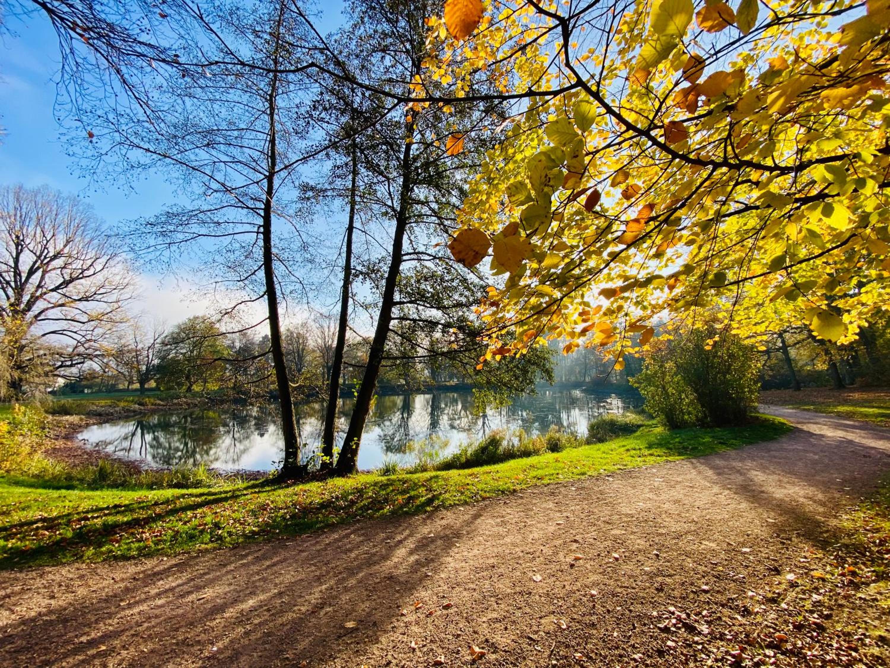Kuschelige helle Ferienwohnung