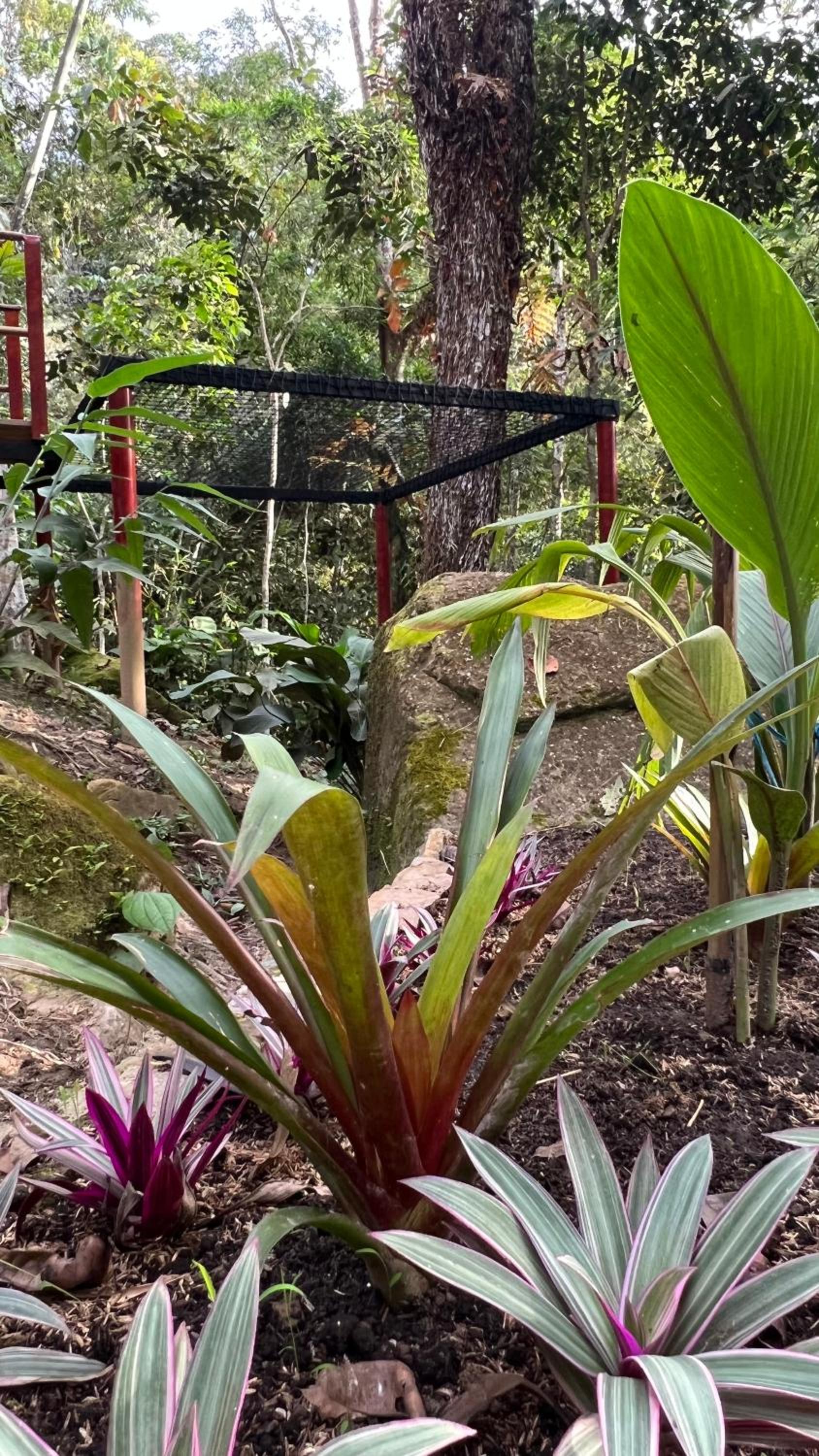 Sikeo Eco Glamping