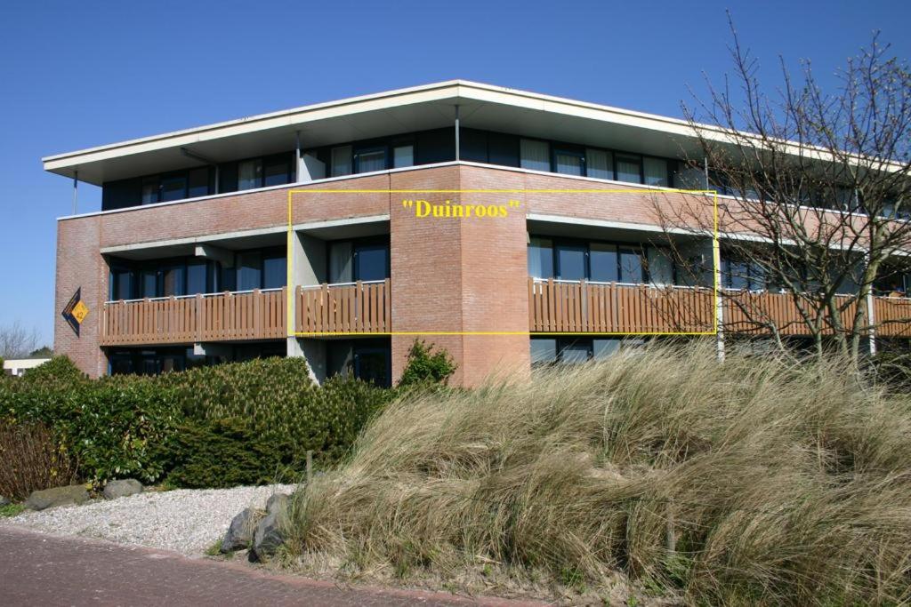 Duinroos