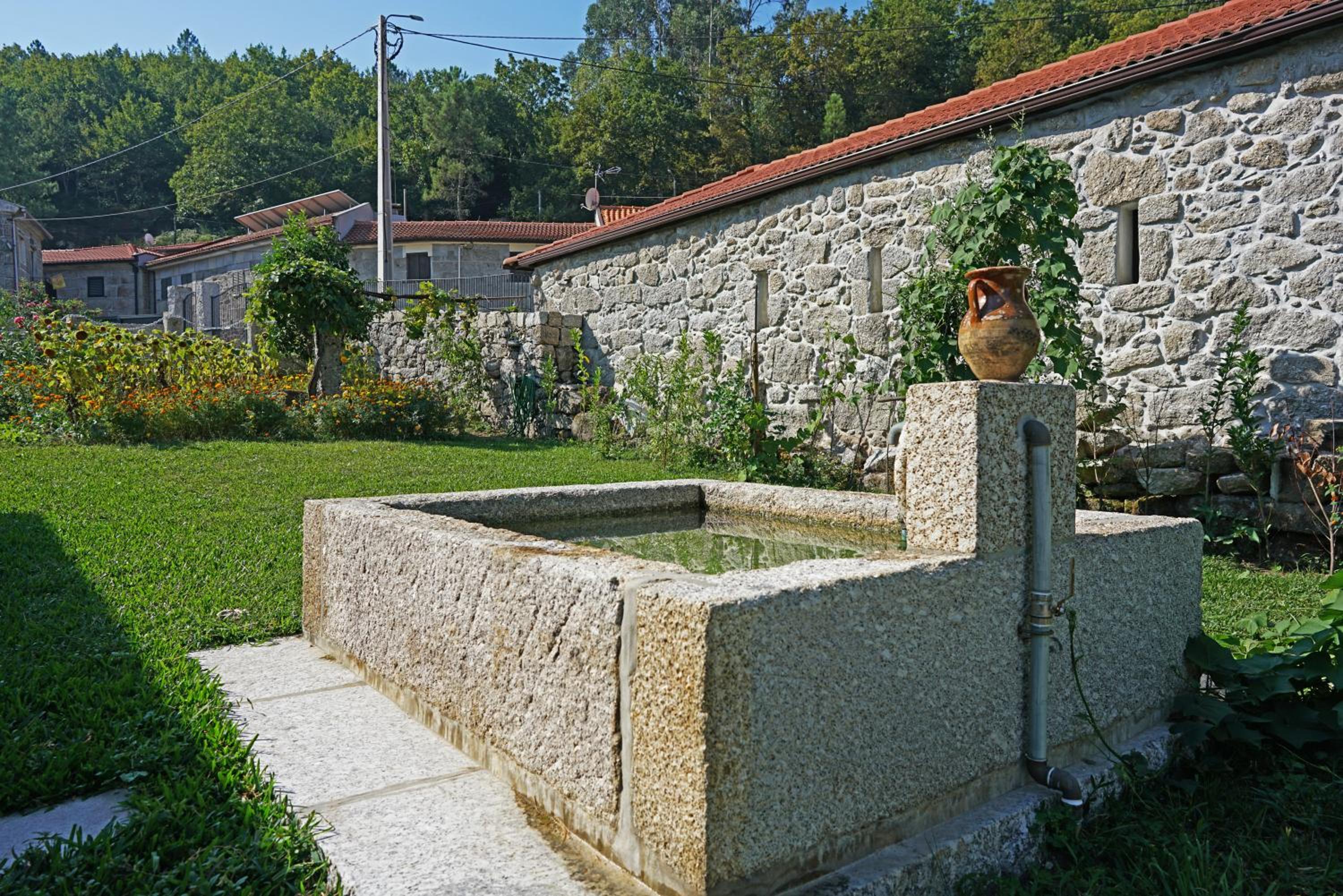 Photo 37