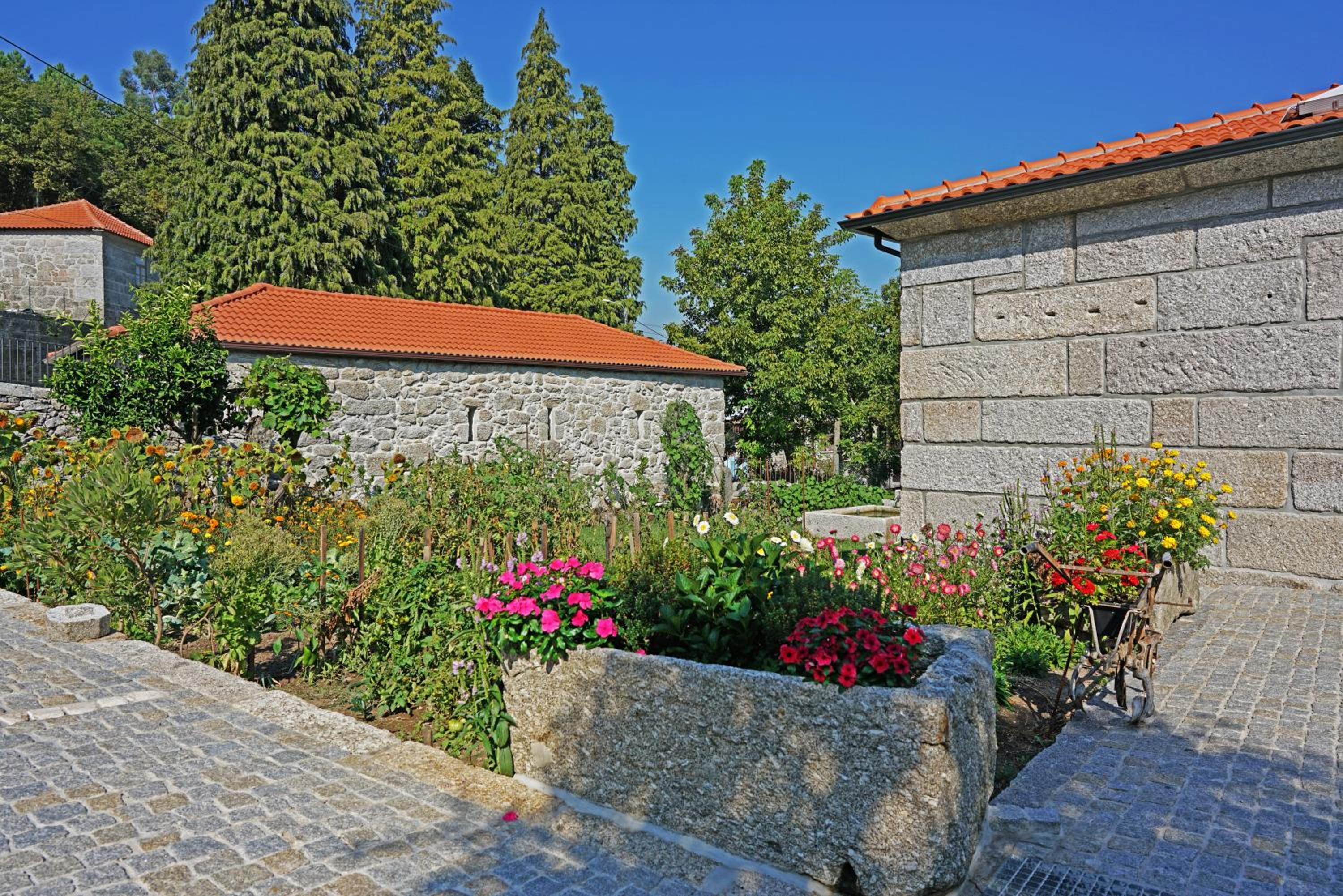 Photo 32