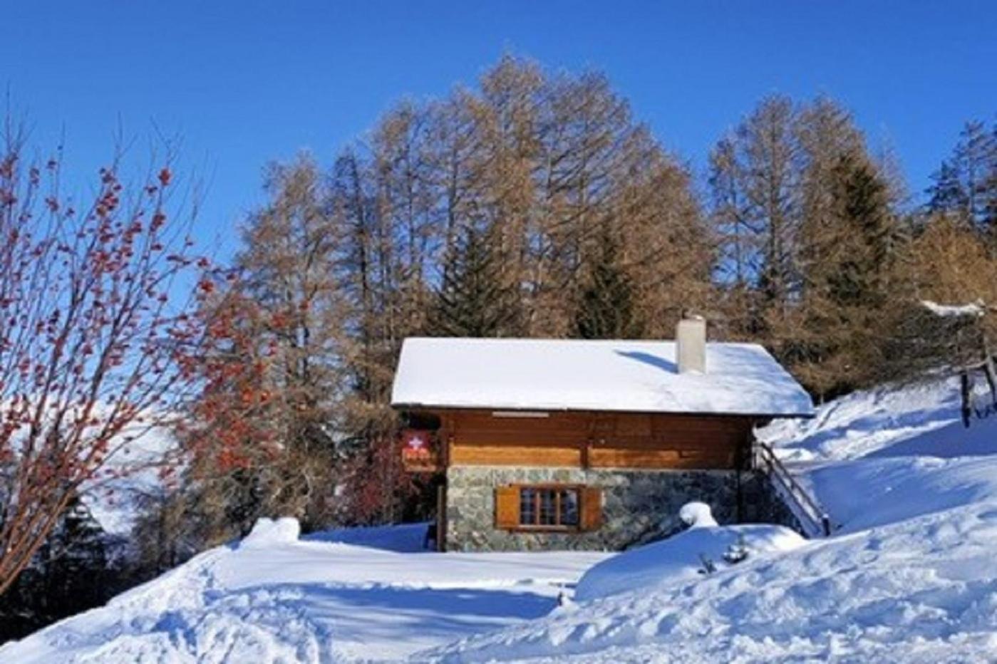 Photo 8