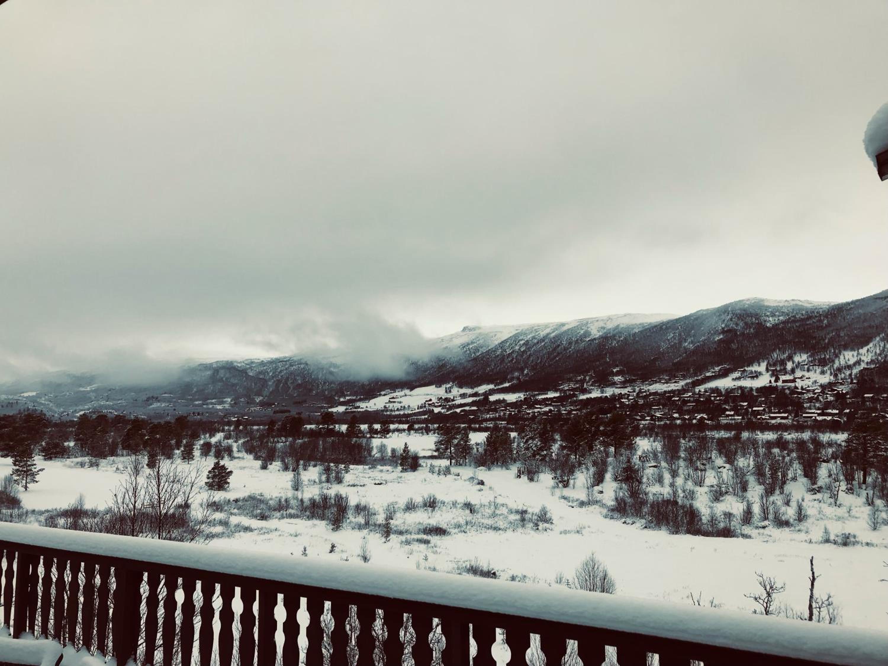 Vestlia Ski view 5