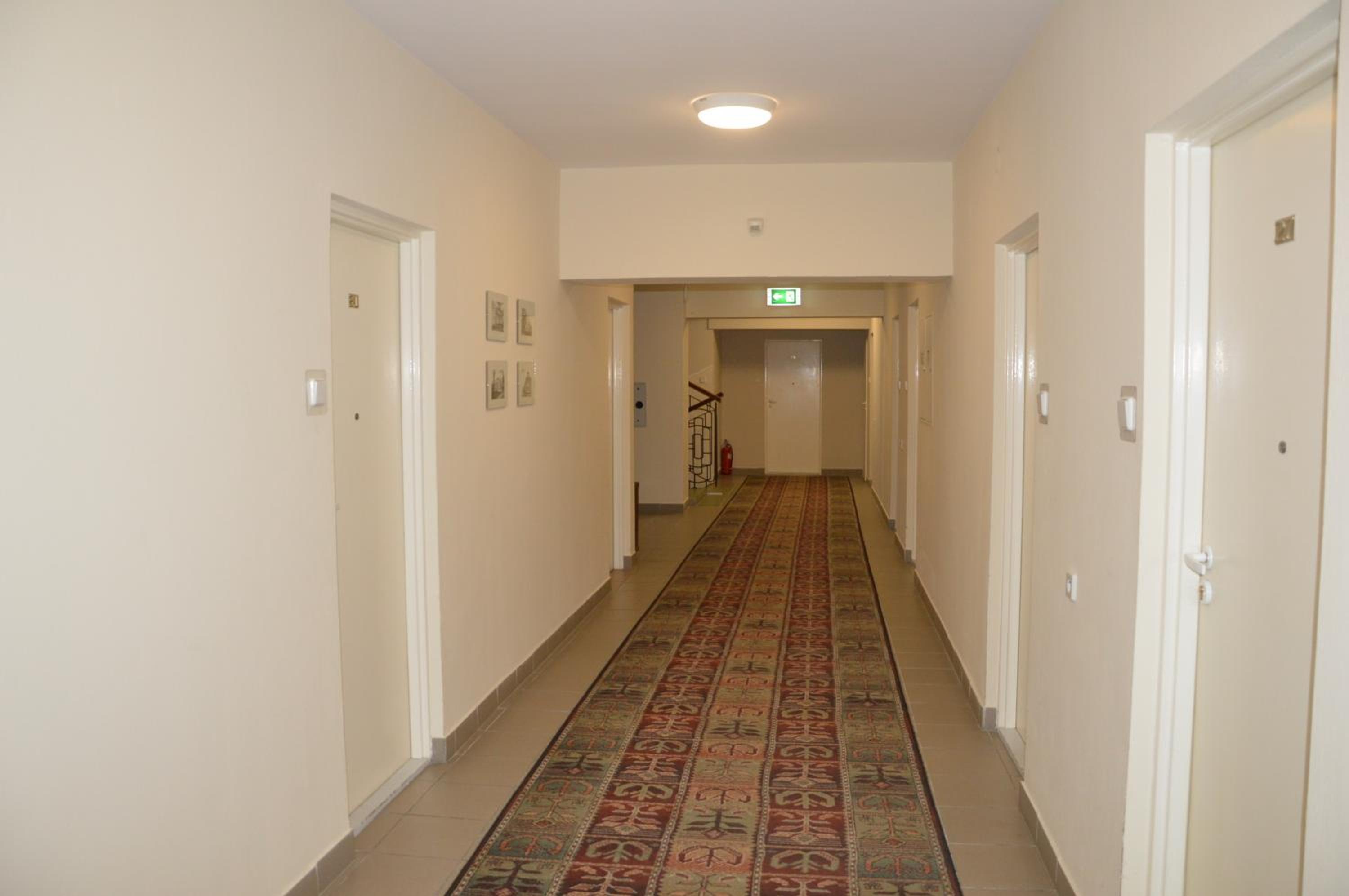 Photo 51