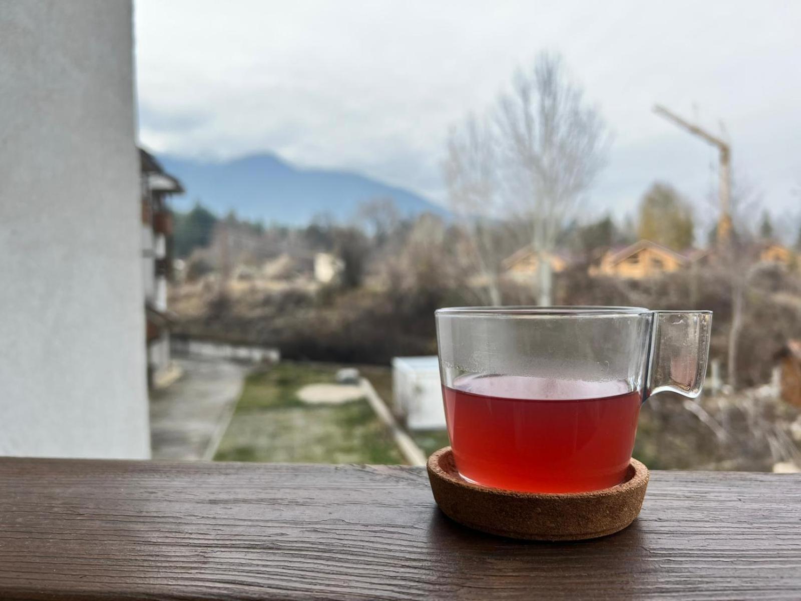Bansko Vacations - Bansko Vibes Apartments - Vesta Boutique - Property Image 6