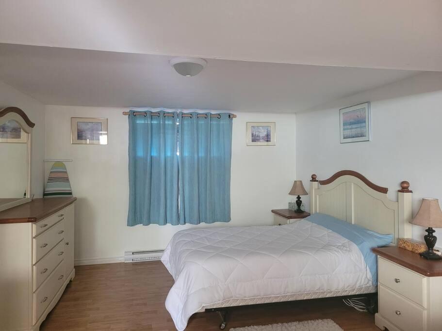 L ' Arlequin Suite et logement