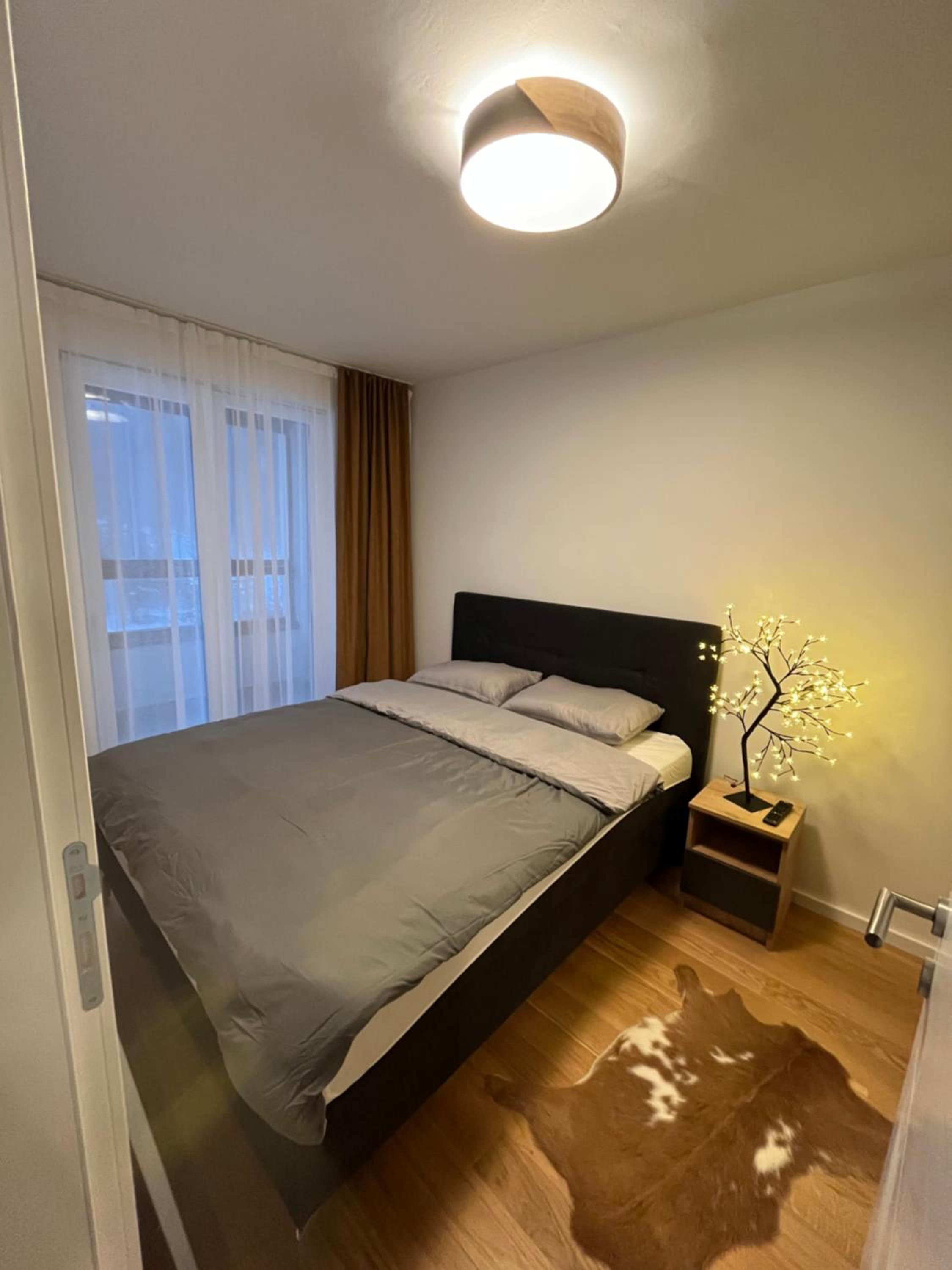 Staza Ski Apartment