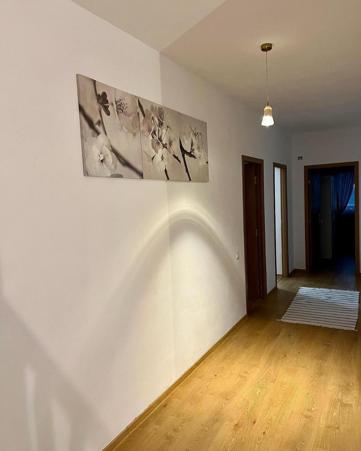 Casuta de la Munte en Sfodea