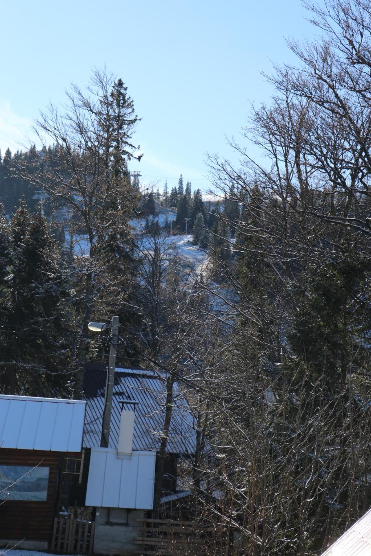 Nivalis Hill 10