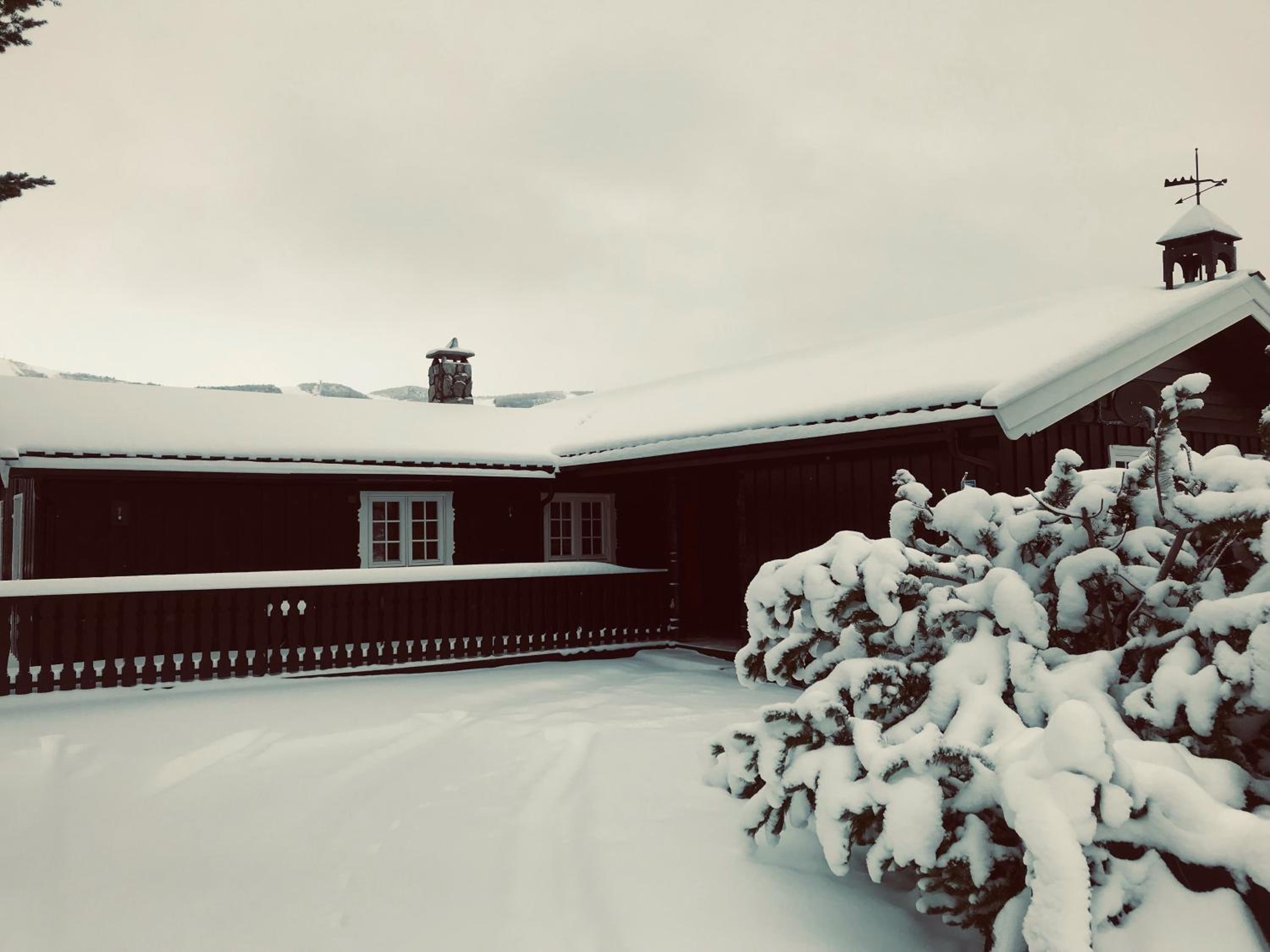 Vestlia Ski view 4
