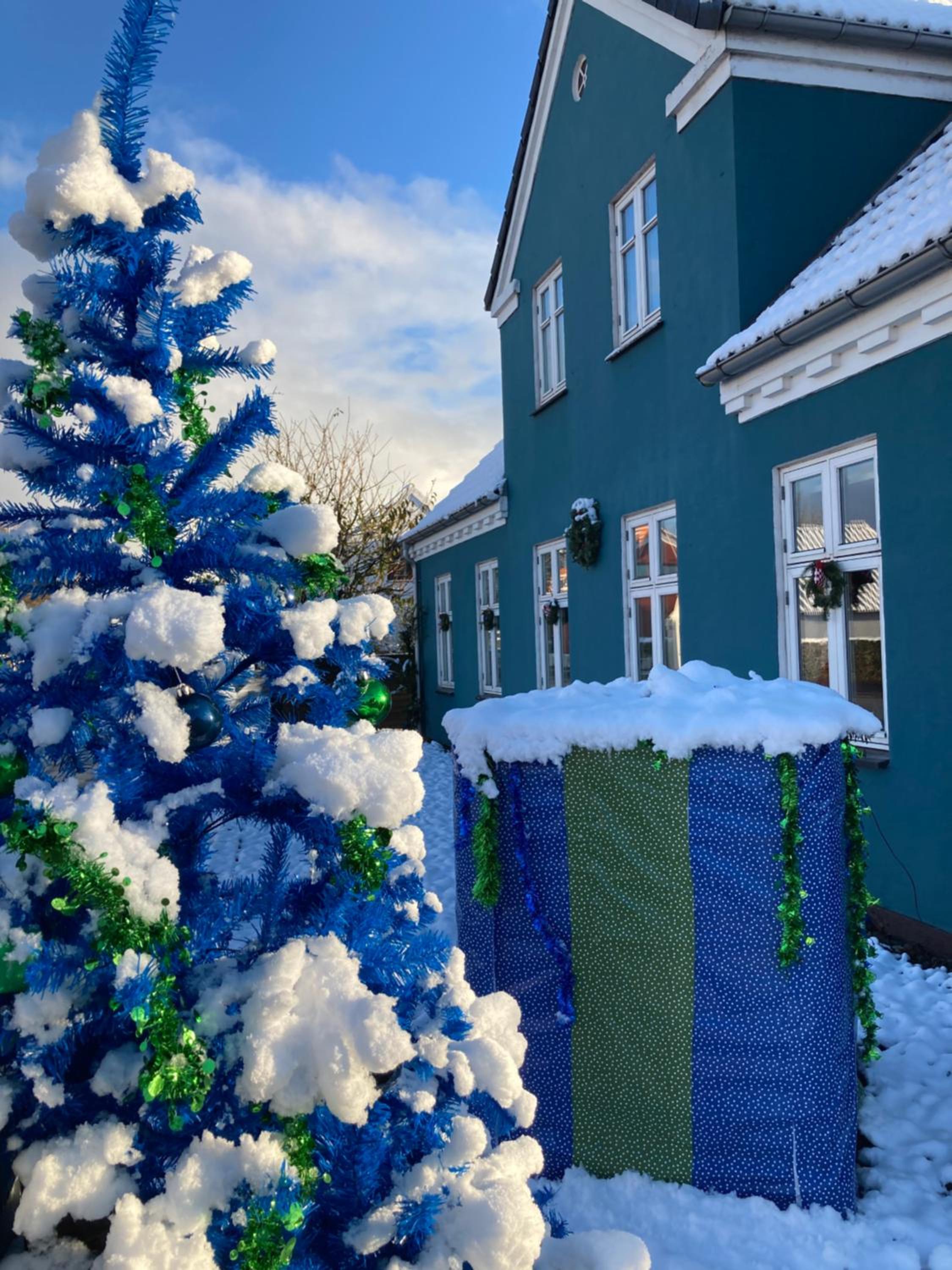 Det blågrønne Hus