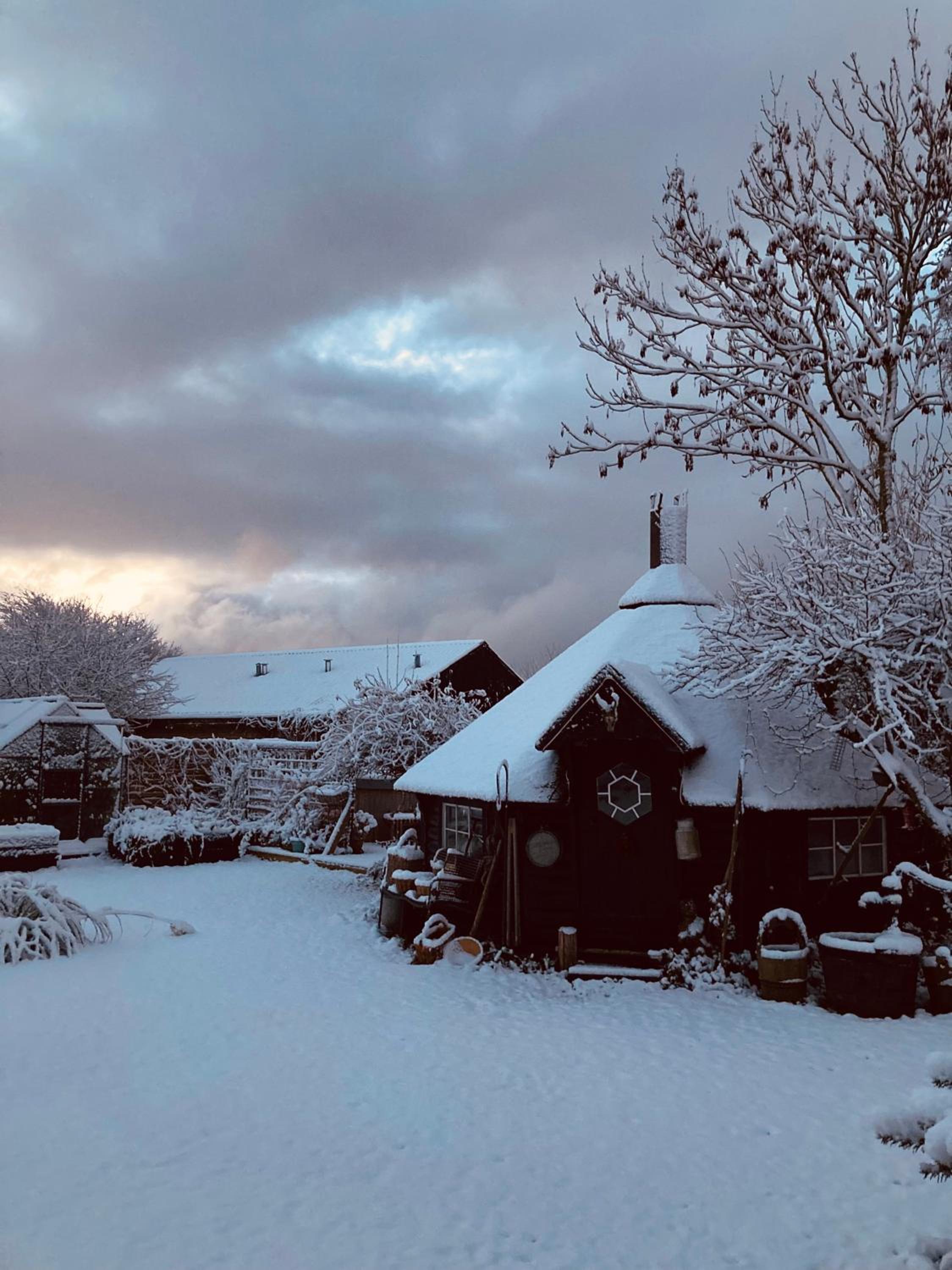 Det blågrønne Hus