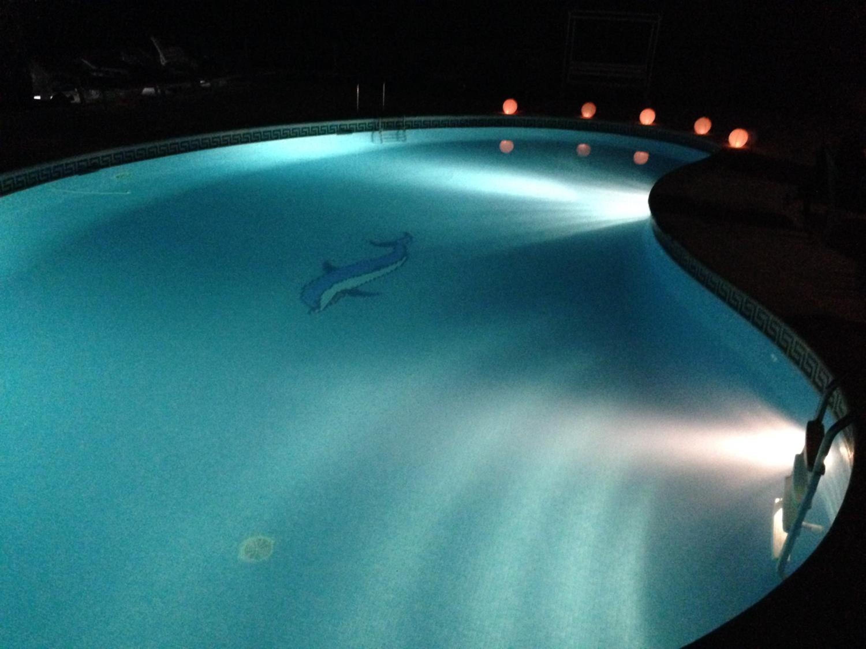 Photo 13