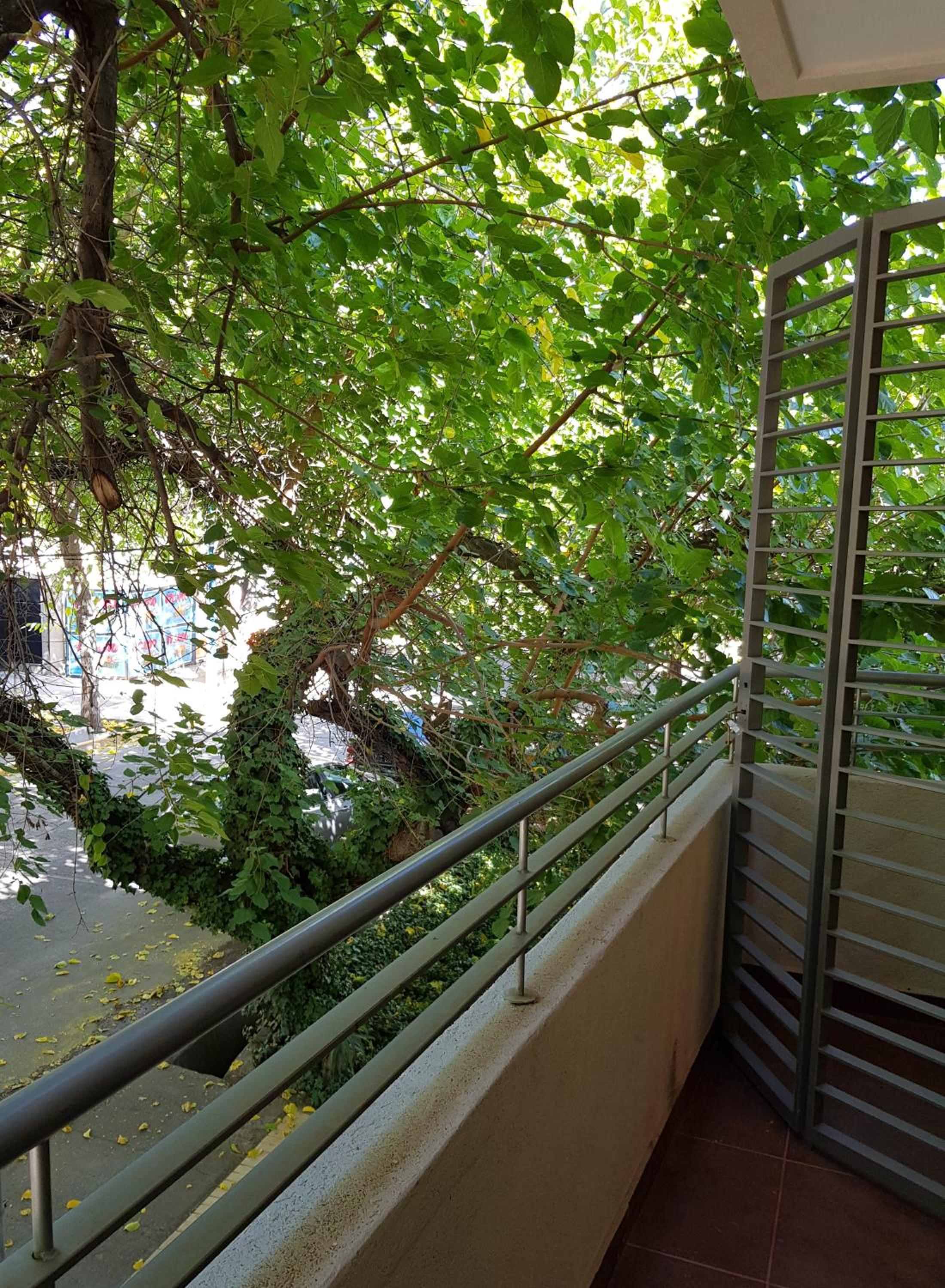 Departamento en Mendoza confortable y tranquilo