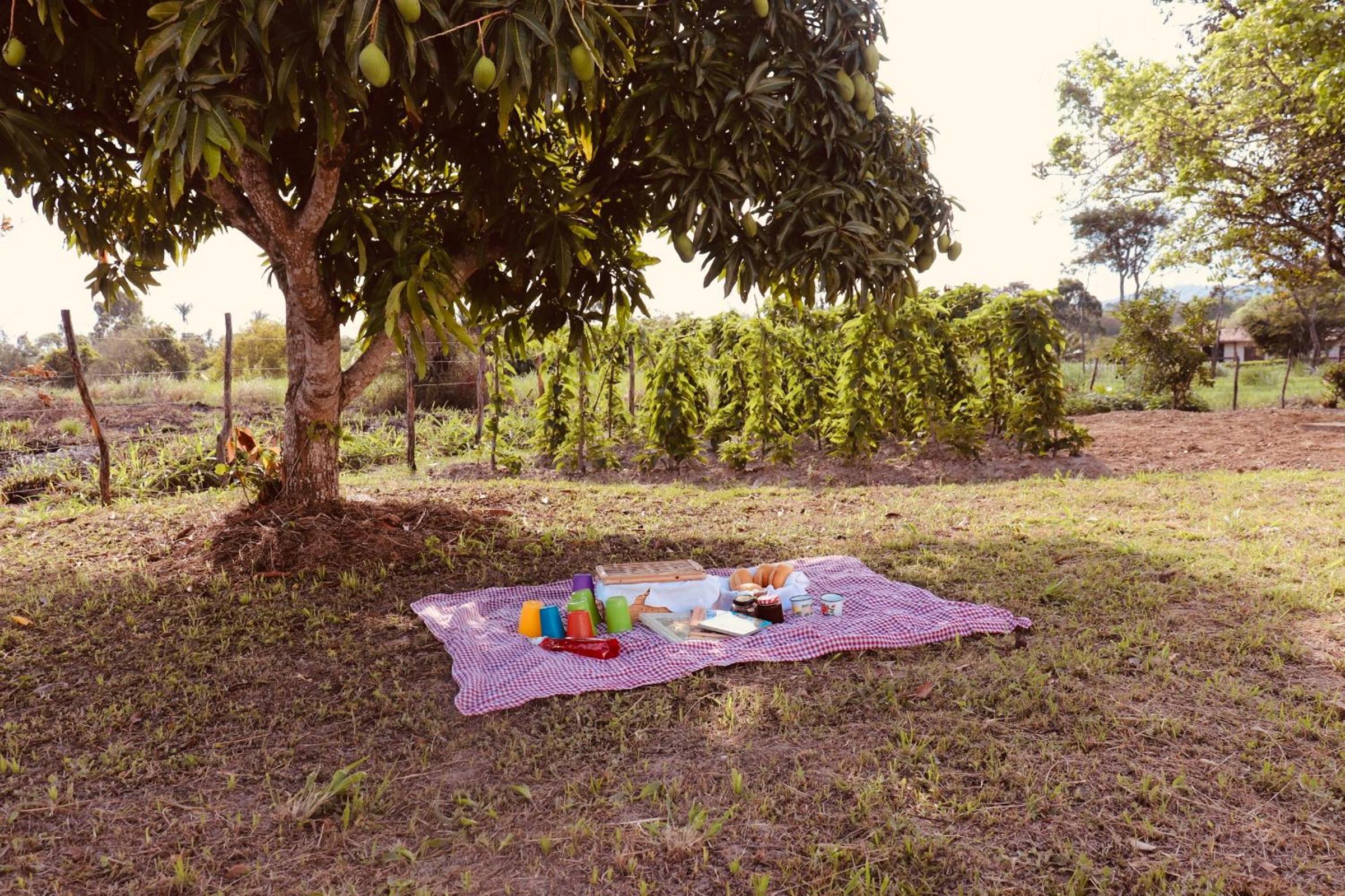 Casa com piscina, privativa, diarista, em condomínio, Bonito-Pe
