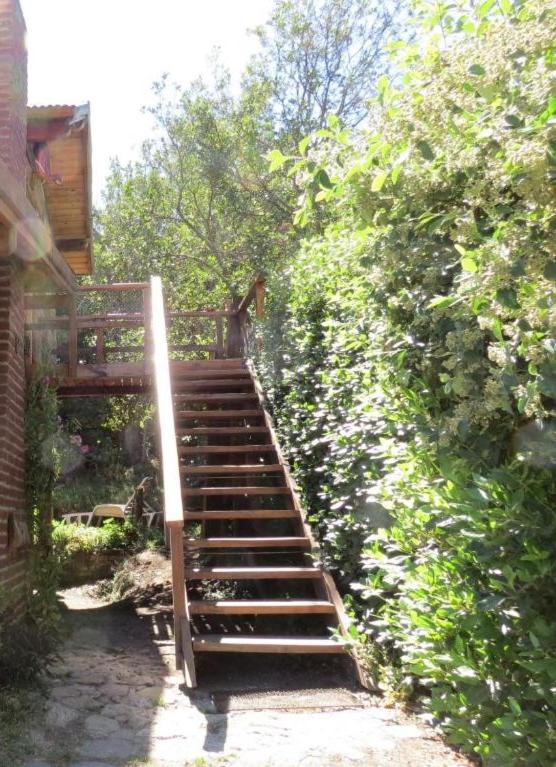 Cabaña Paseo del Sol