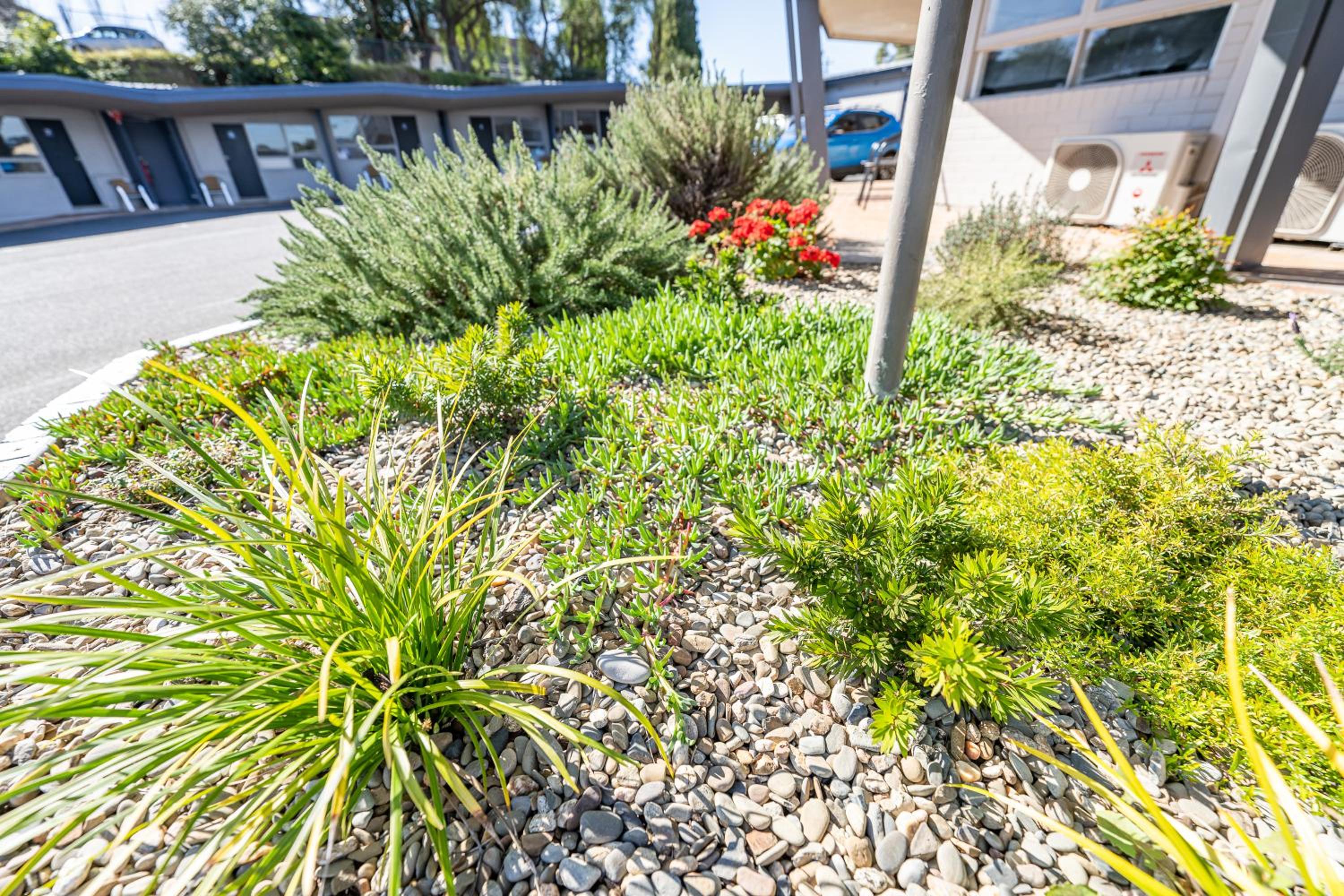 Bega Motel