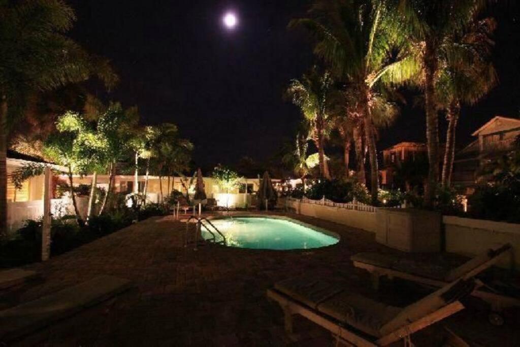 An Island Getaway at Palm Tree Villas