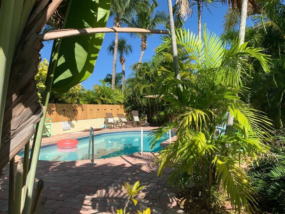 An Island Getaway at Palm Tree Villas