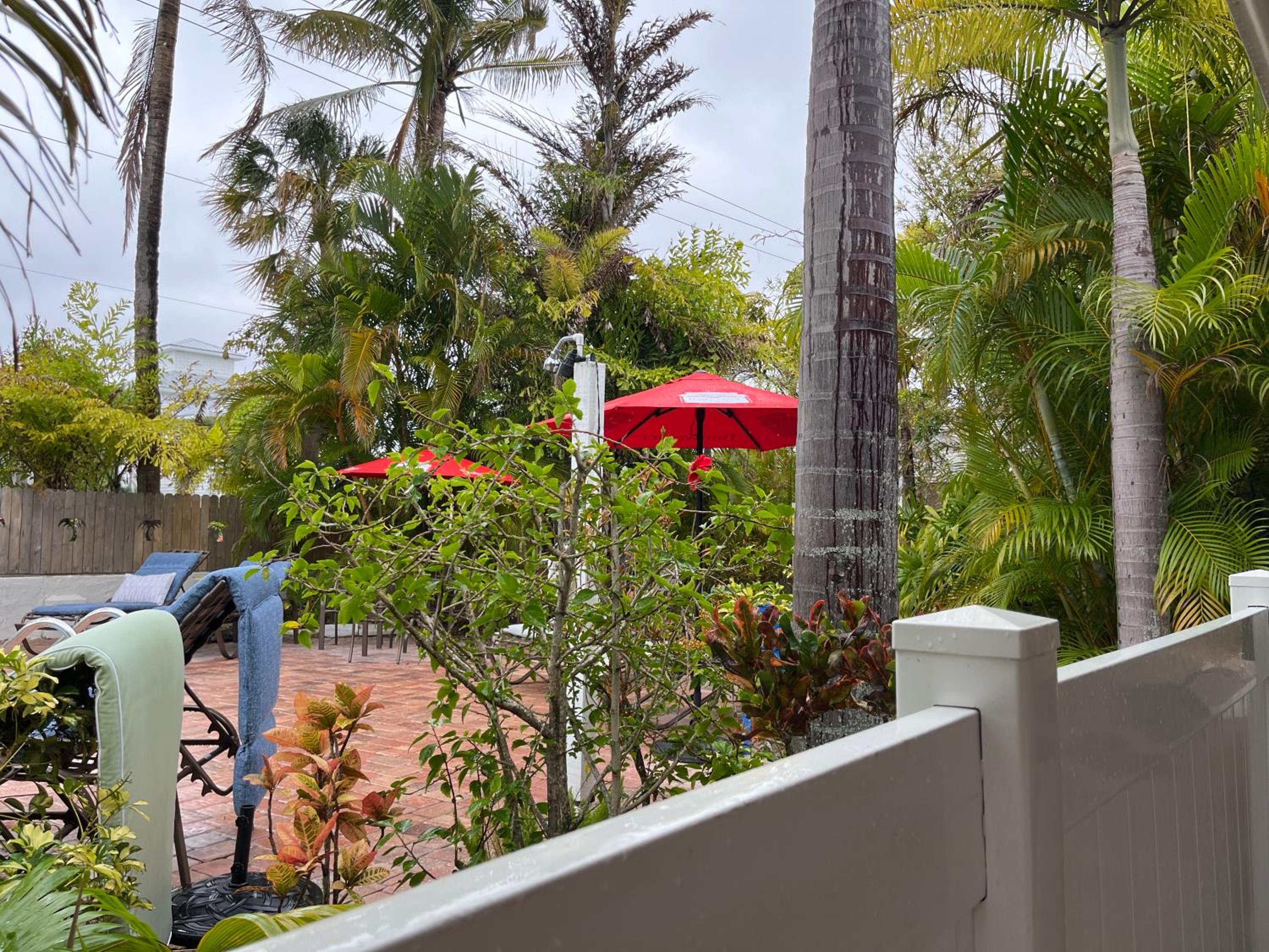 An Island Getaway at Palm Tree Villas