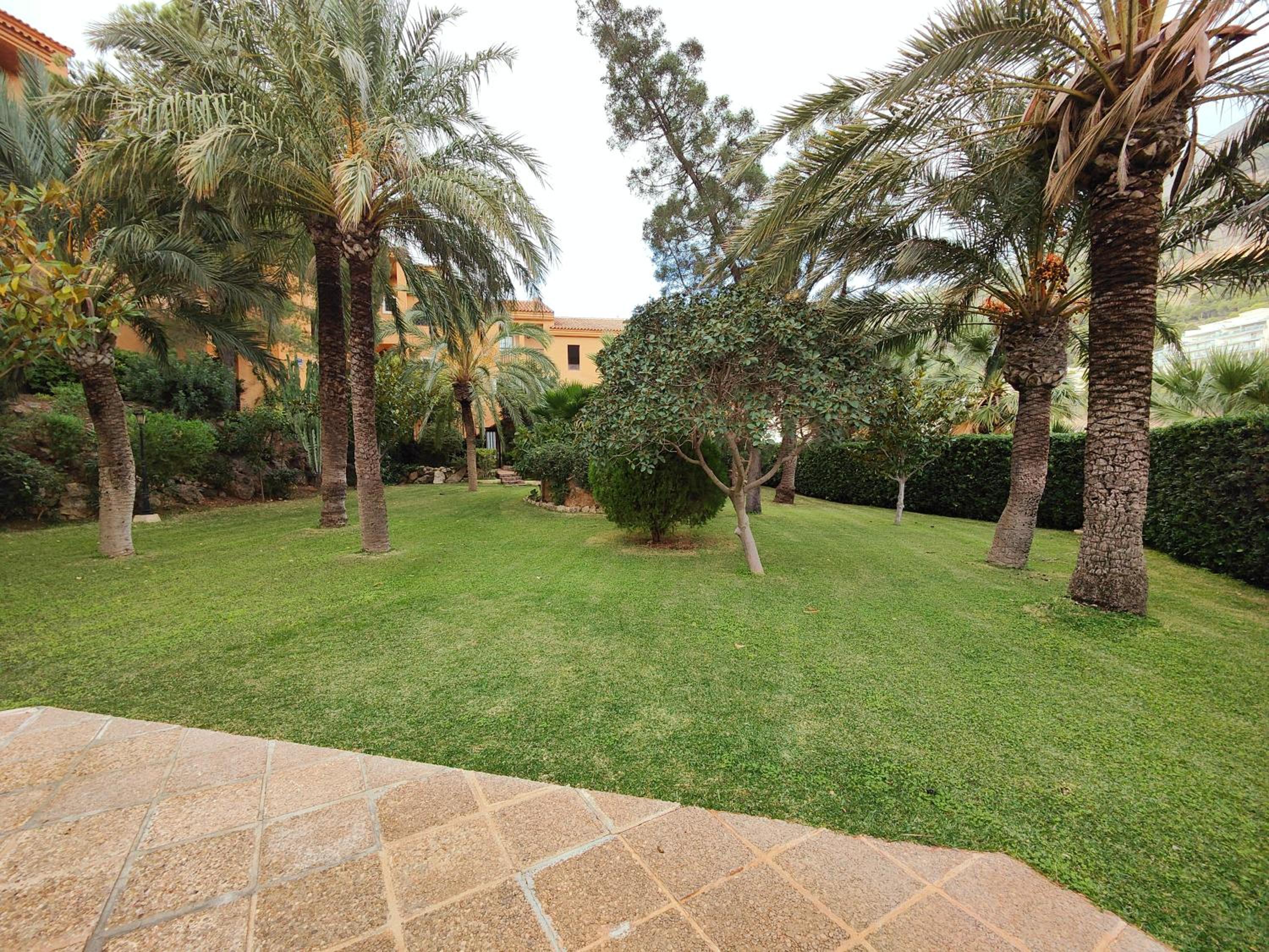 Luxury Apartments Mascarat