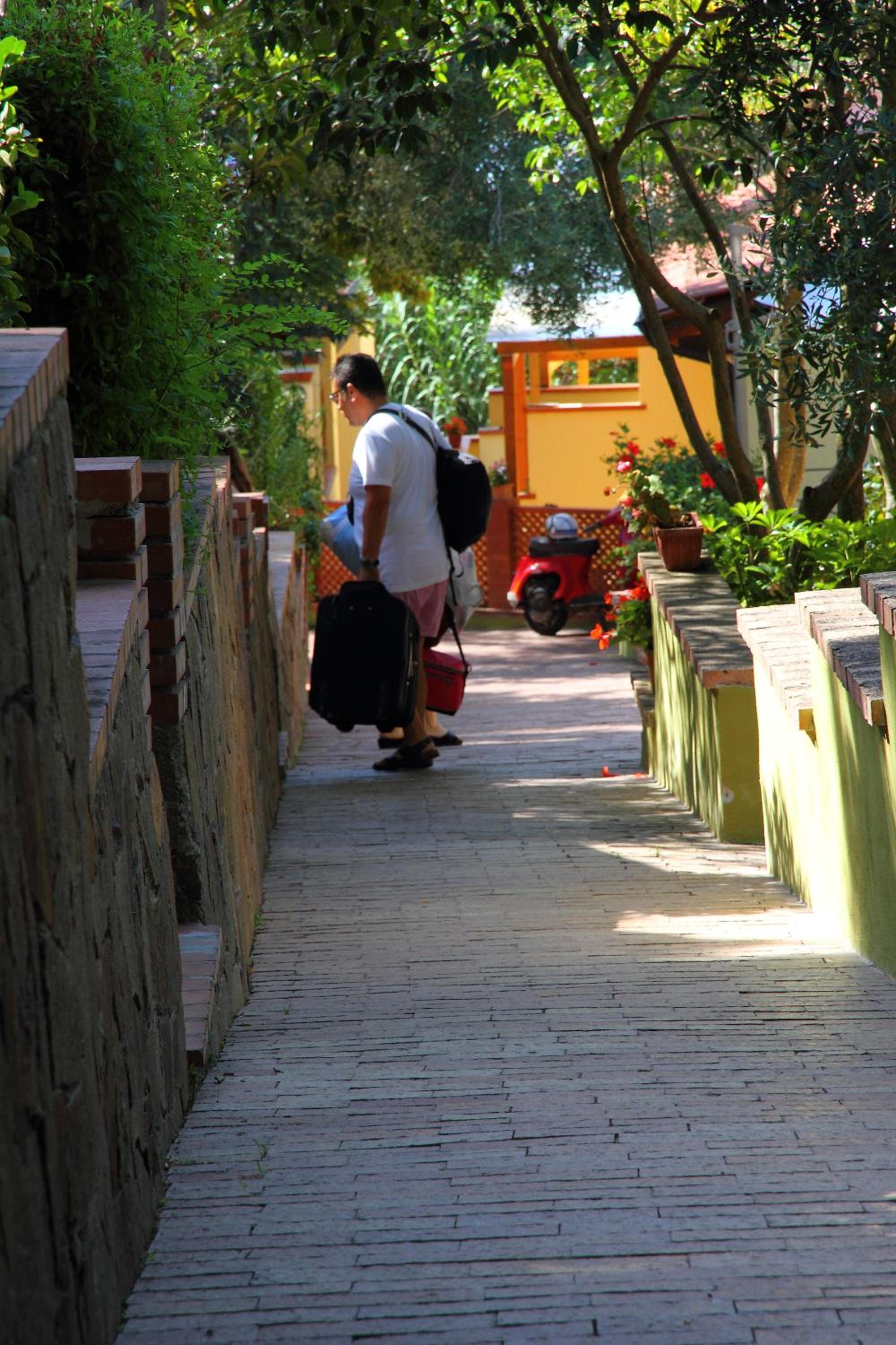 Photo 20