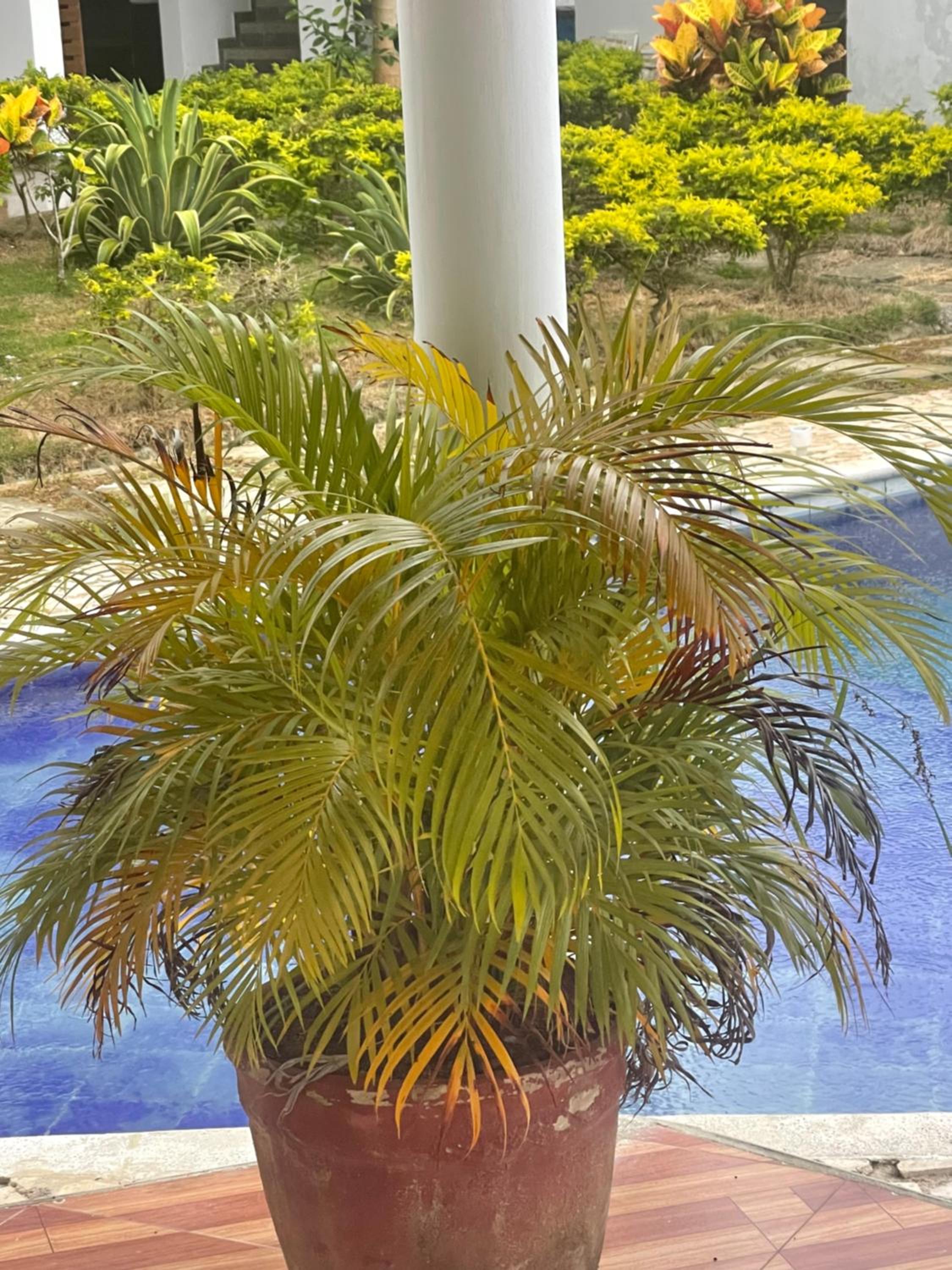 Bambú Cabaña Campestre