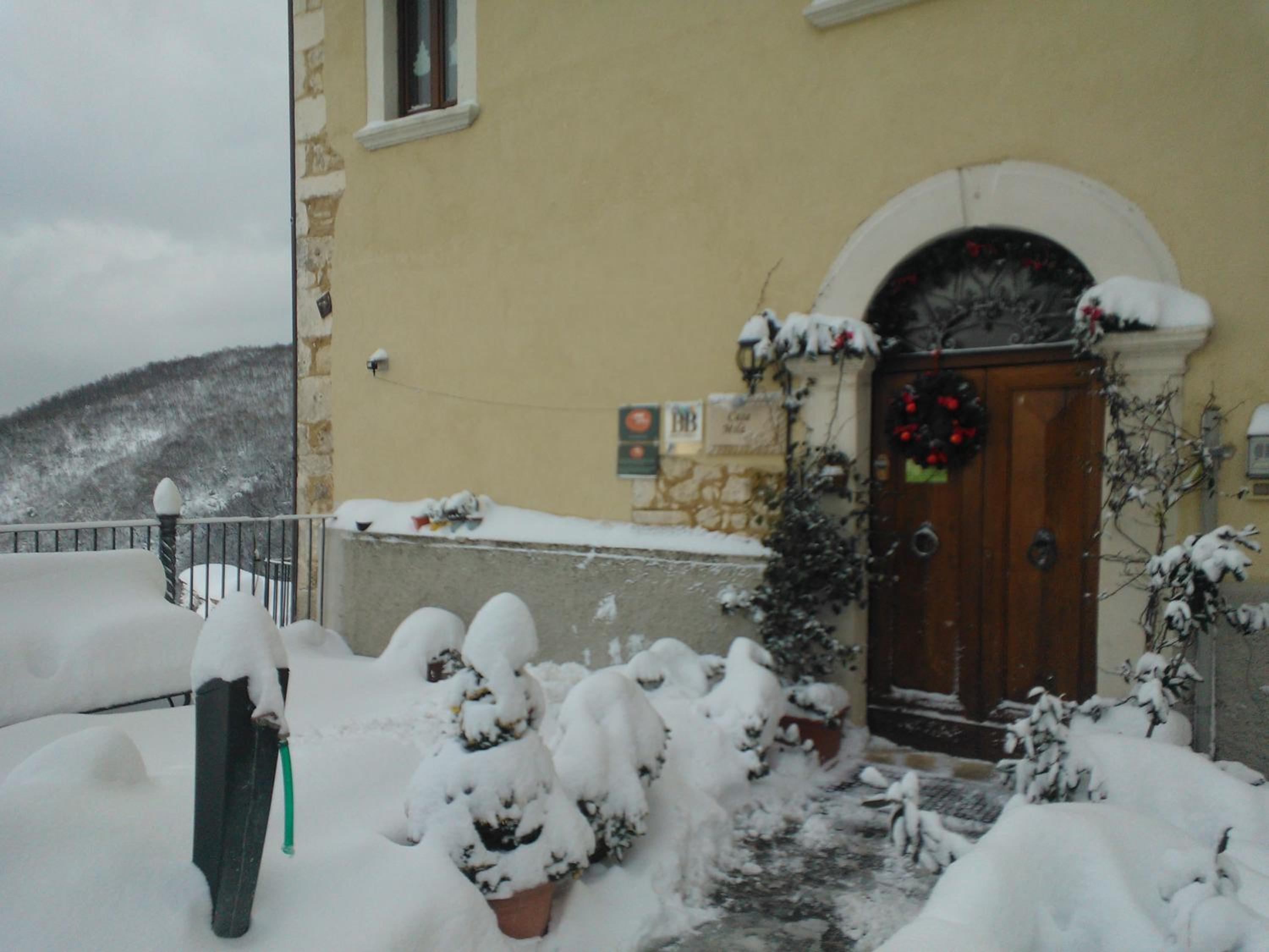 Photo 41