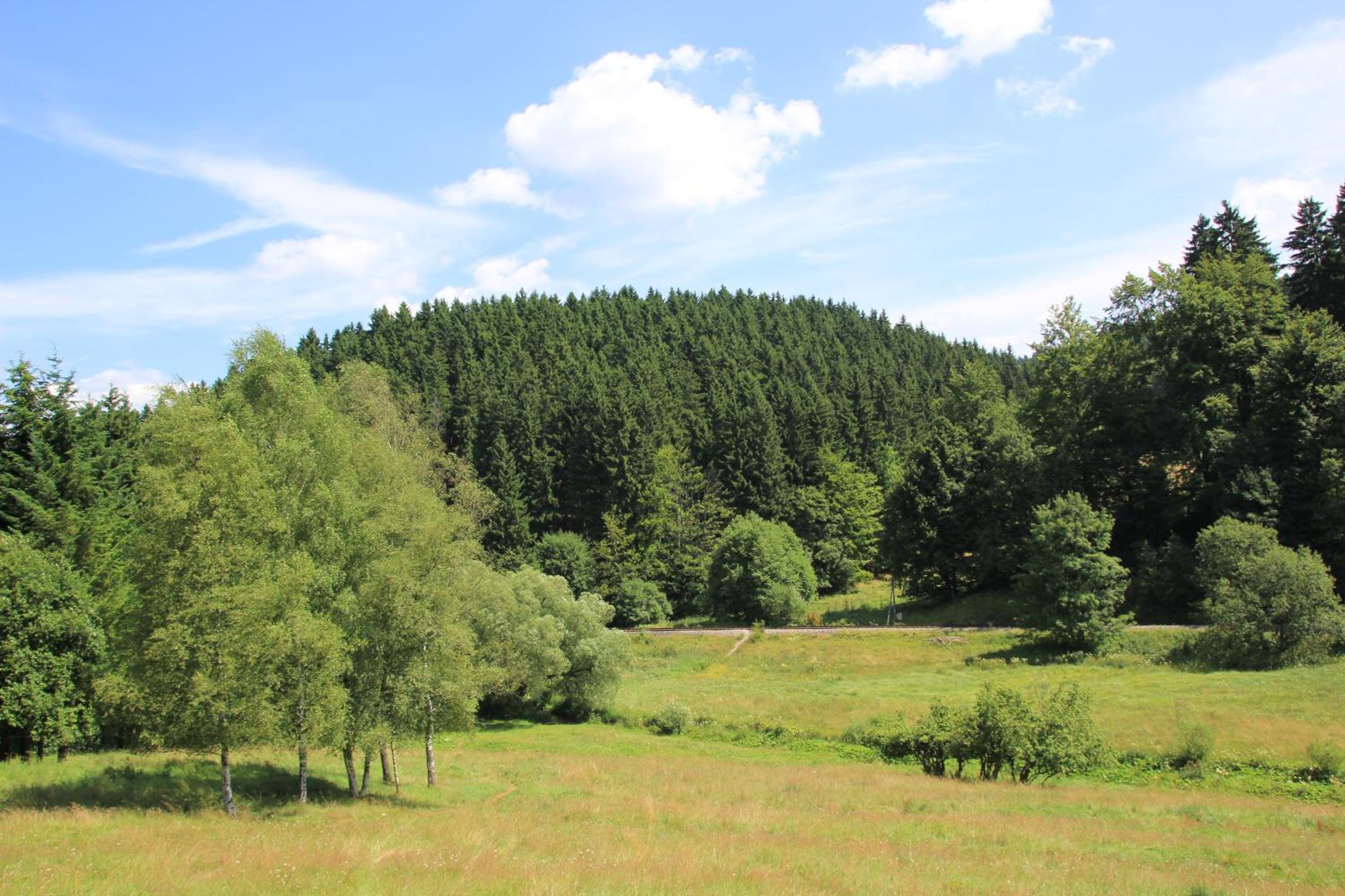 Gasthof 'Zum Reifberg'